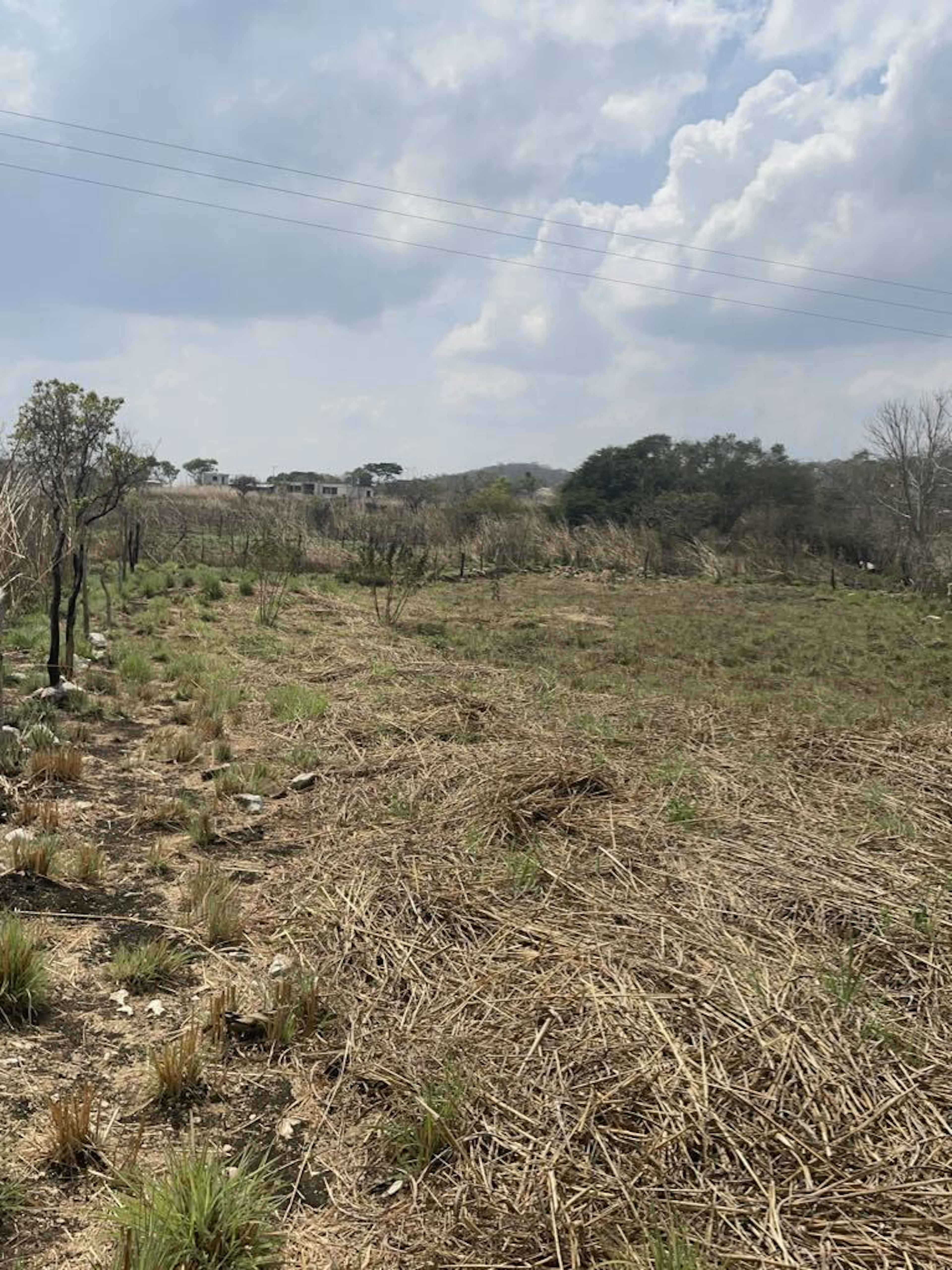 Avenida 4a. Norte Oriente 1208