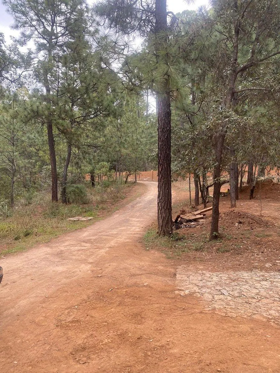 Terreno Spot2