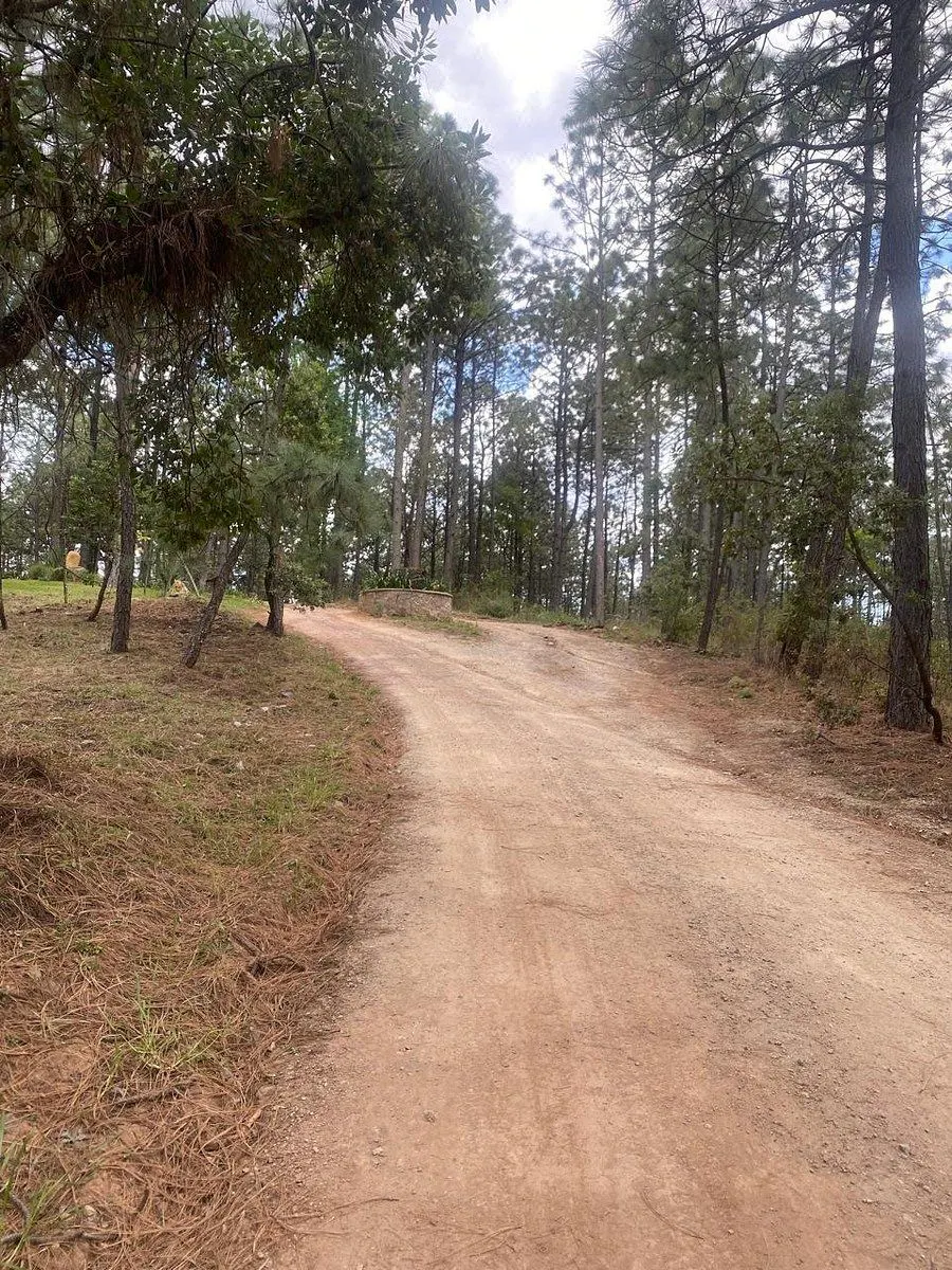 Terreno Spot2