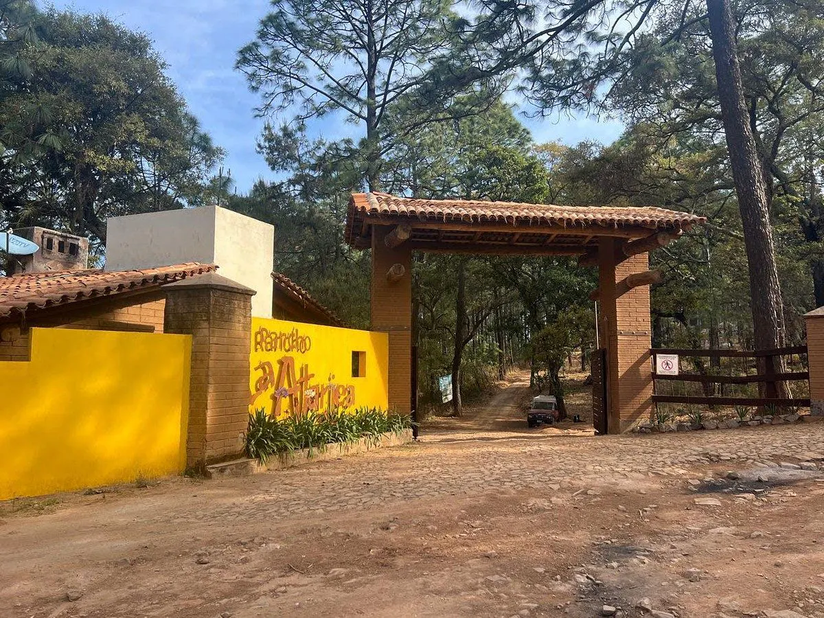 Terreno Spot2