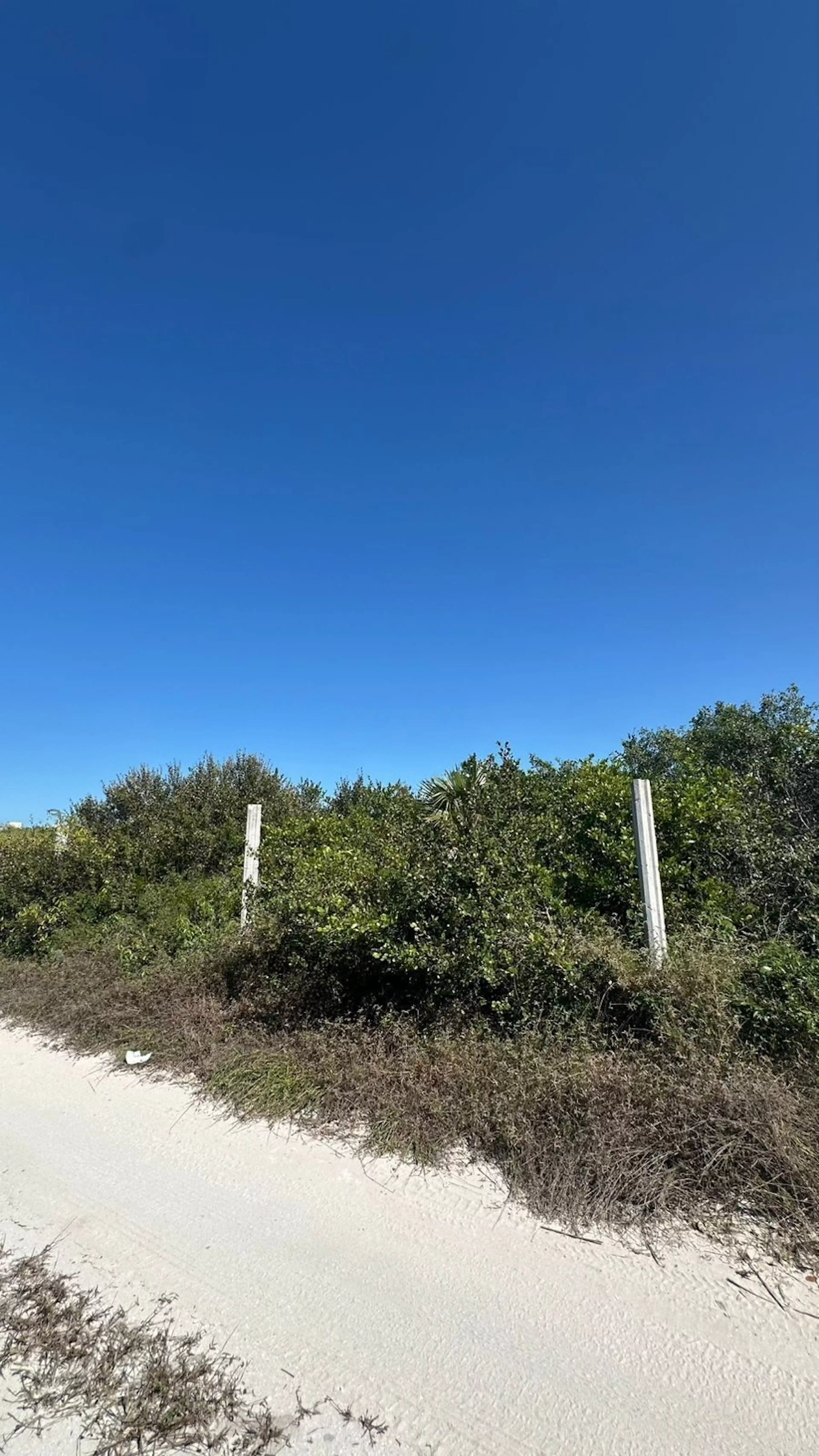 Terreno En San Bruno, Yucatán