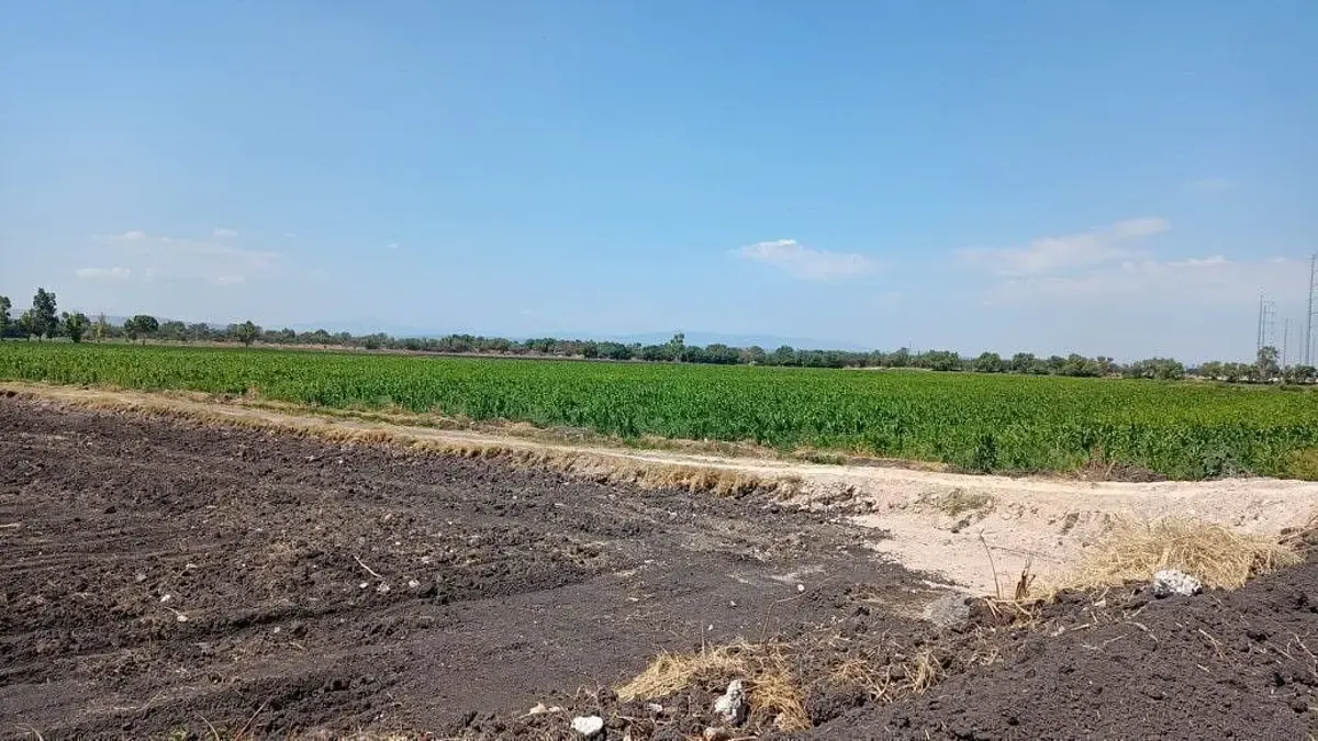 Terreno Spot2