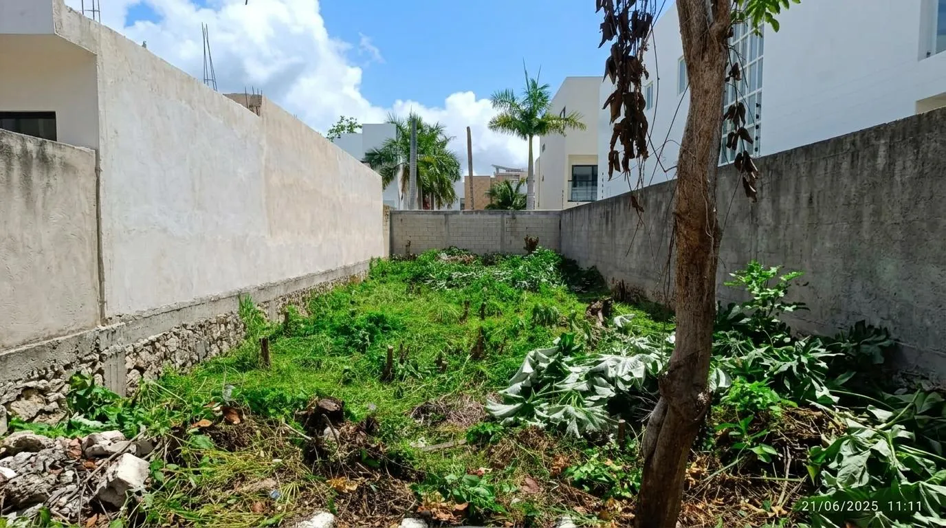 Terreno Spot2