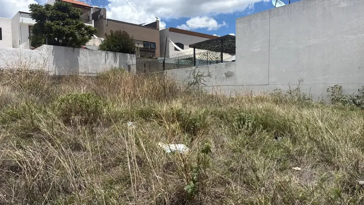 Terreno Spot2
