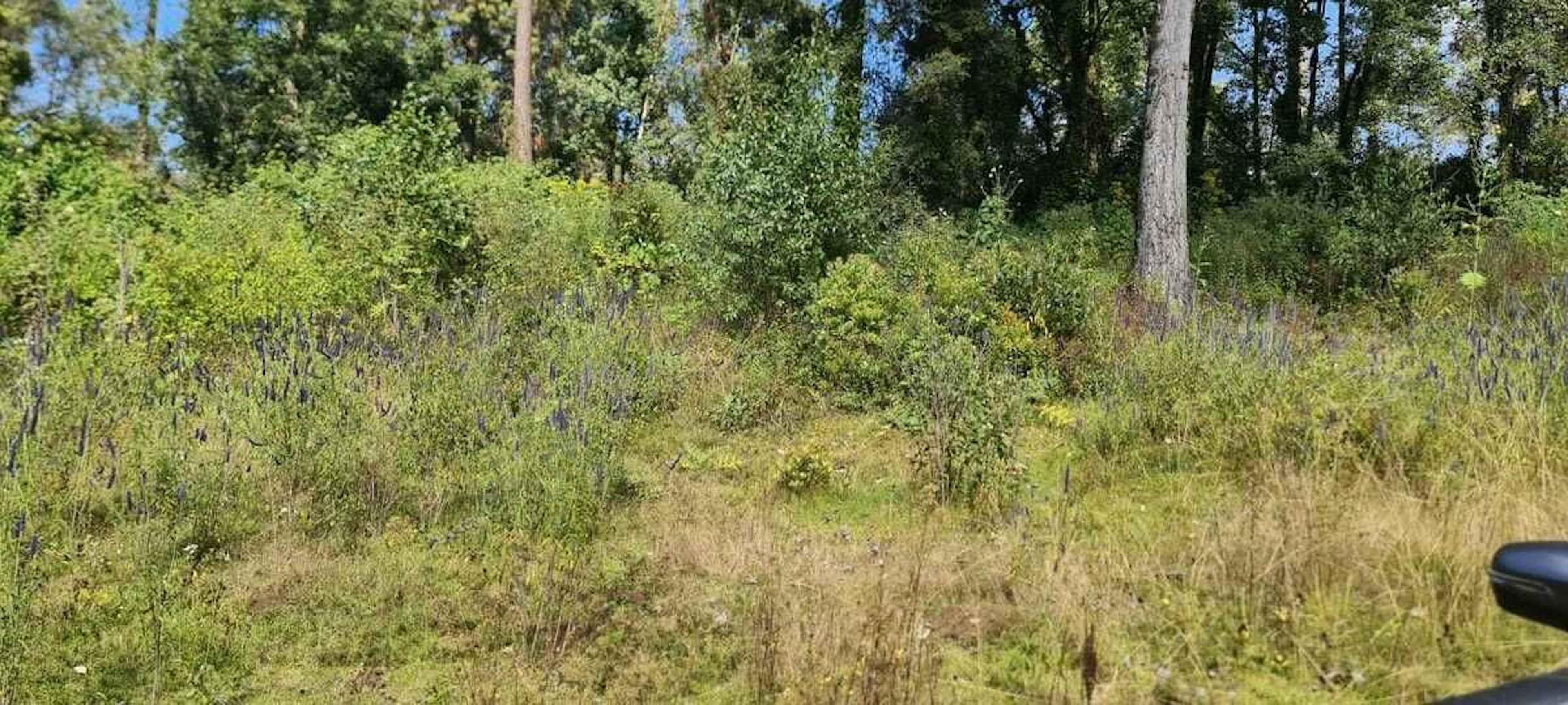 Francisco I. Madero 101