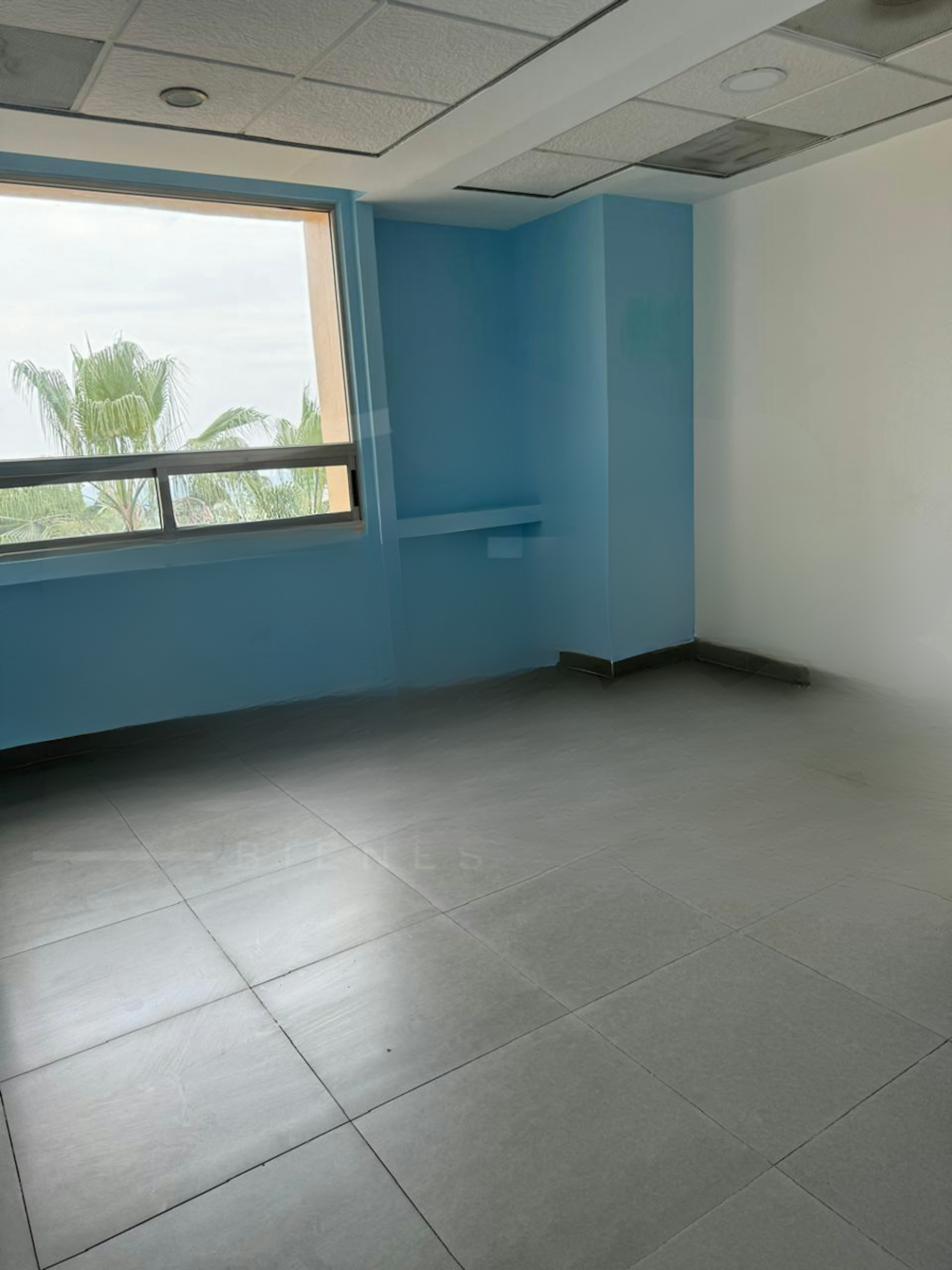 Consultorio 302-photo