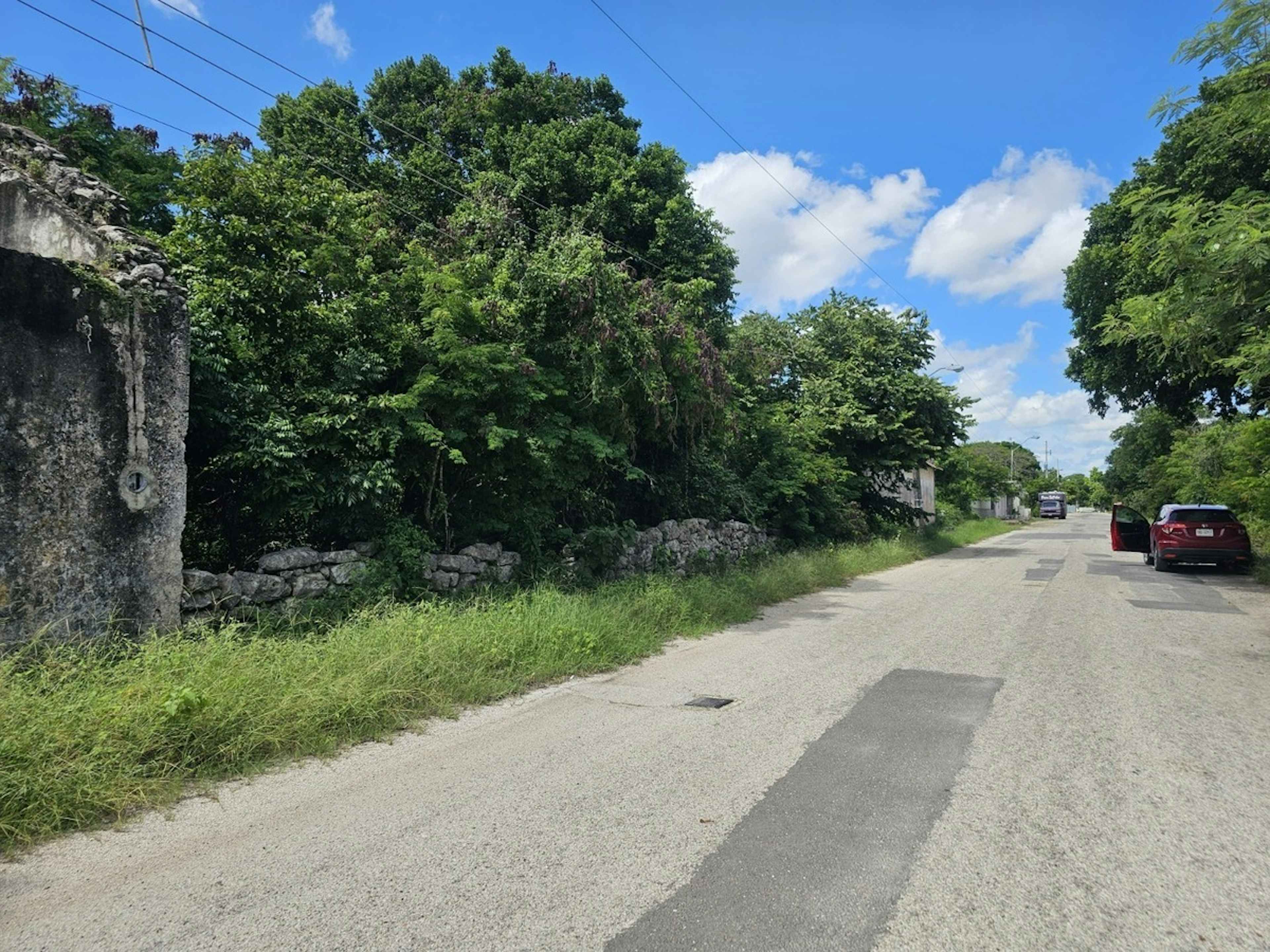 Dzitya - Entronque Carretera Mérida Progreso 1