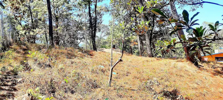 Terreno Spot2