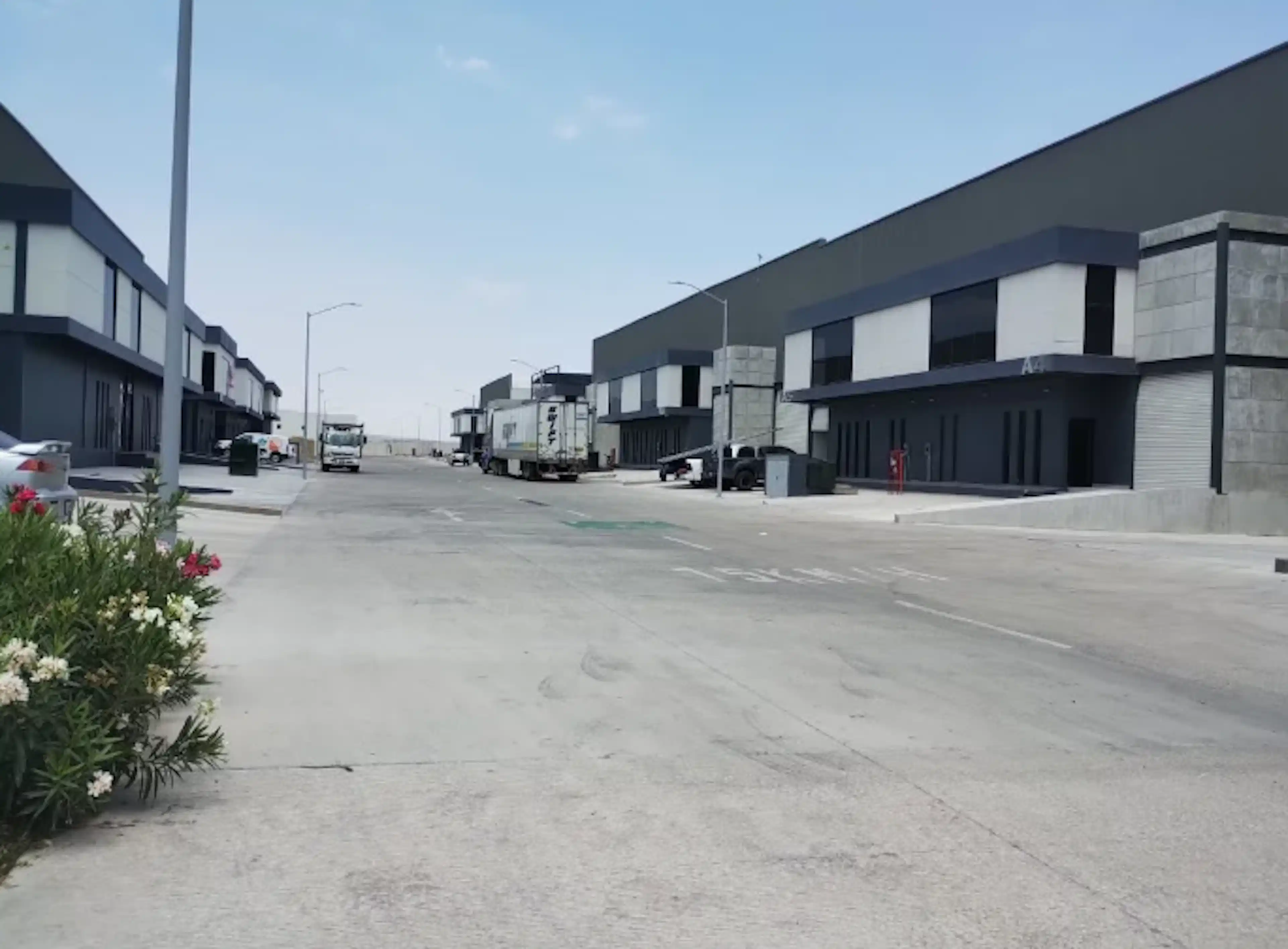 Paseo De Las Rosas