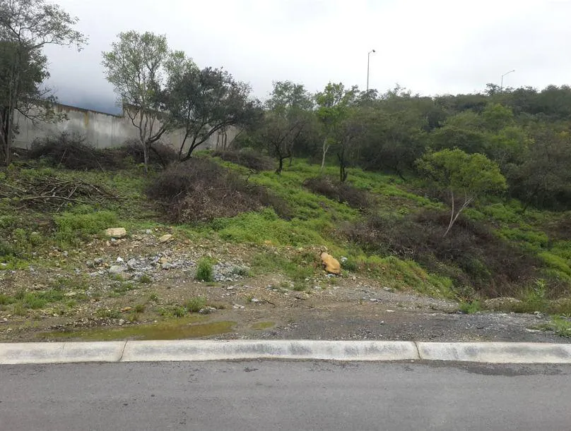 Terreno Spot2
