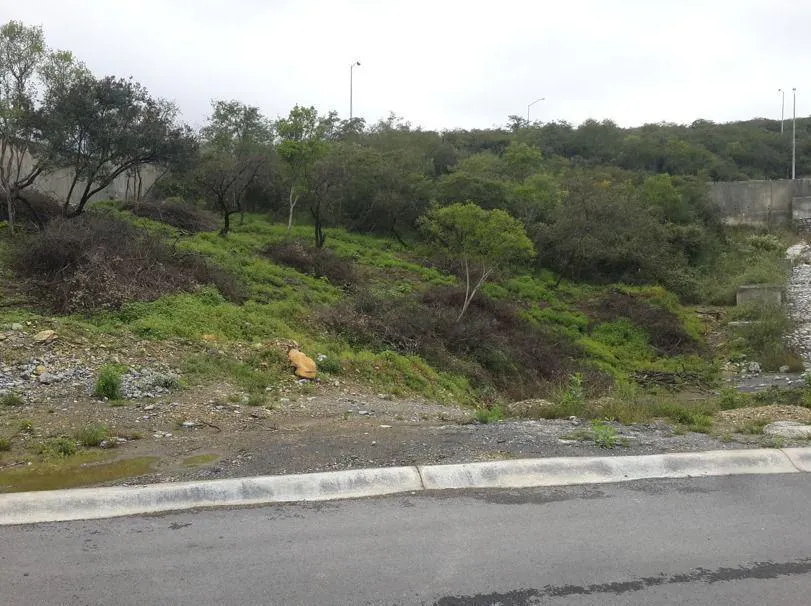 Terreno Spot2
