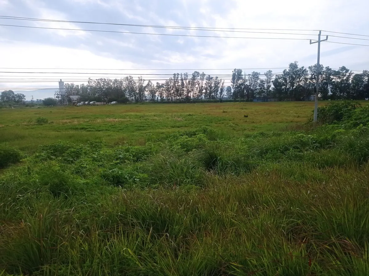 Terreno Spot2