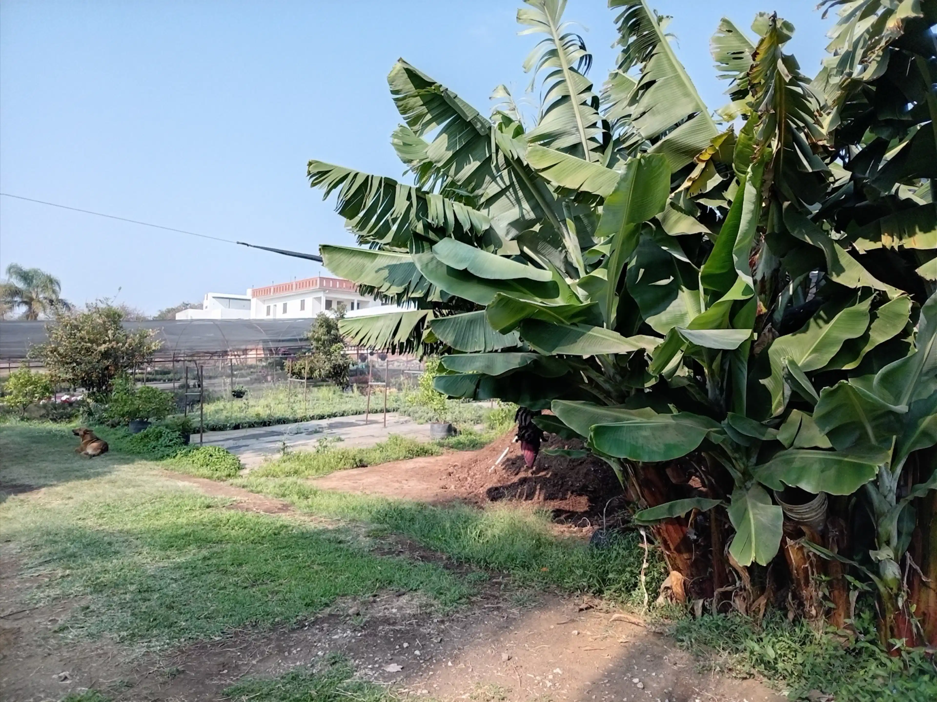 Terreno - Pueblo Tetela Del Monte
