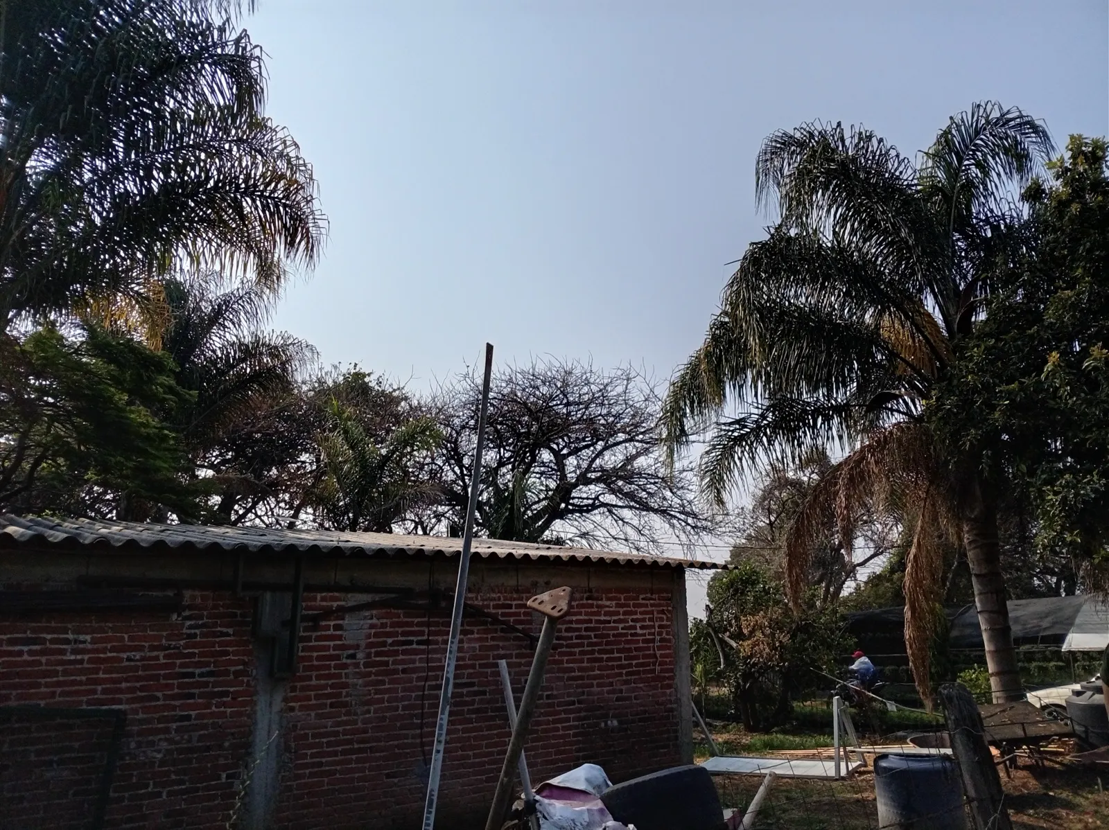 Terreno Spot2