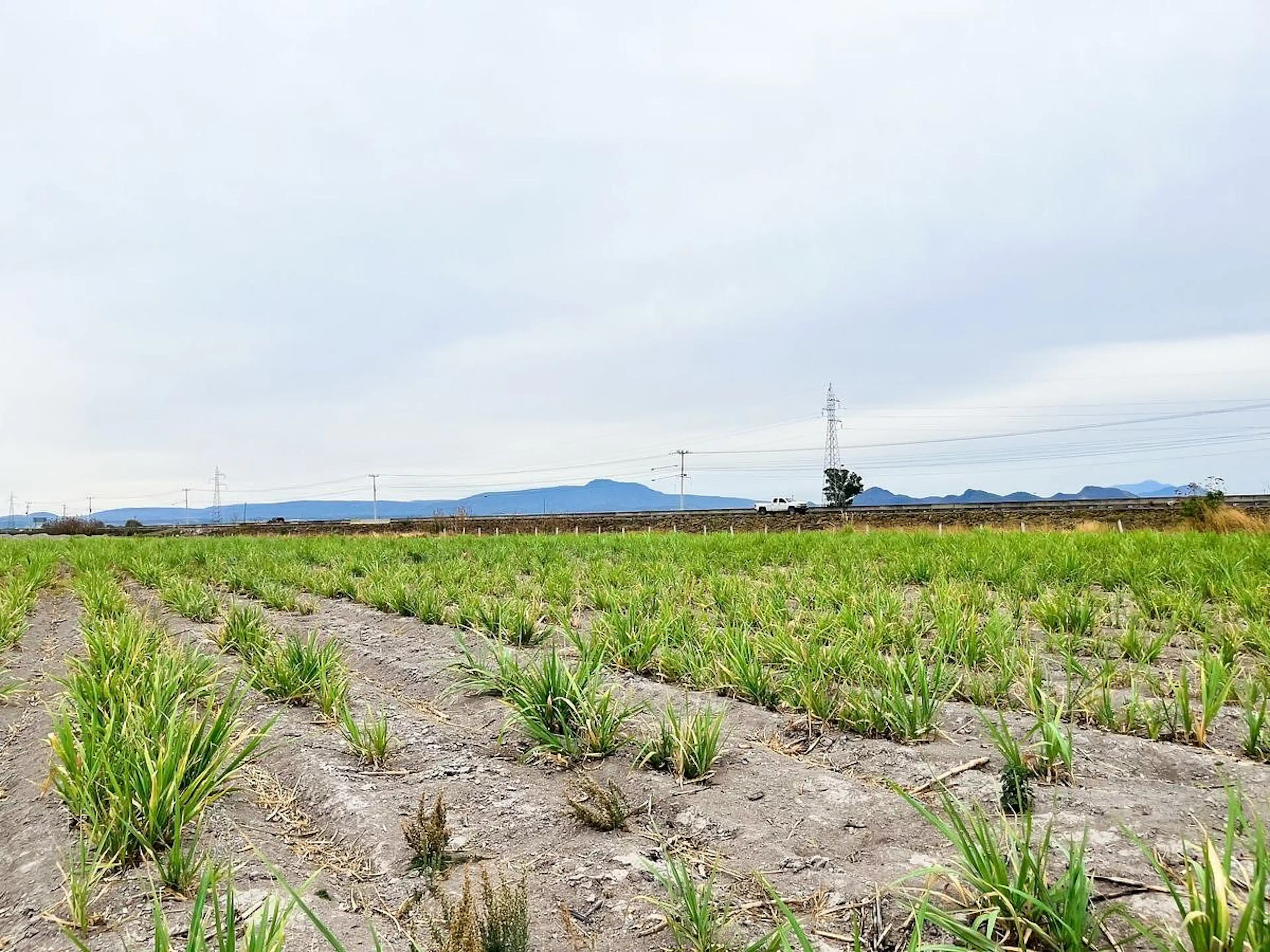 Parcela En Venta De 3.5 Has Cerca De Cuisillos