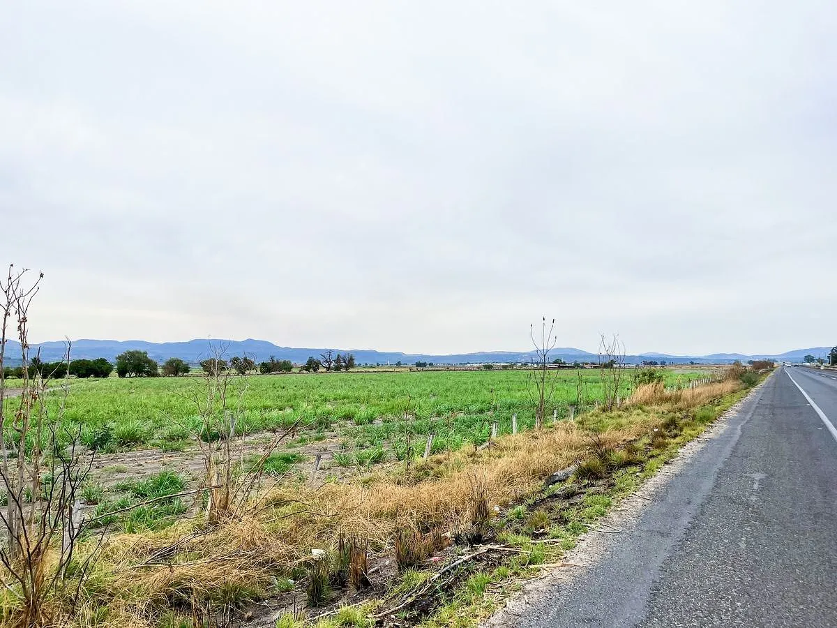 Terreno Spot2