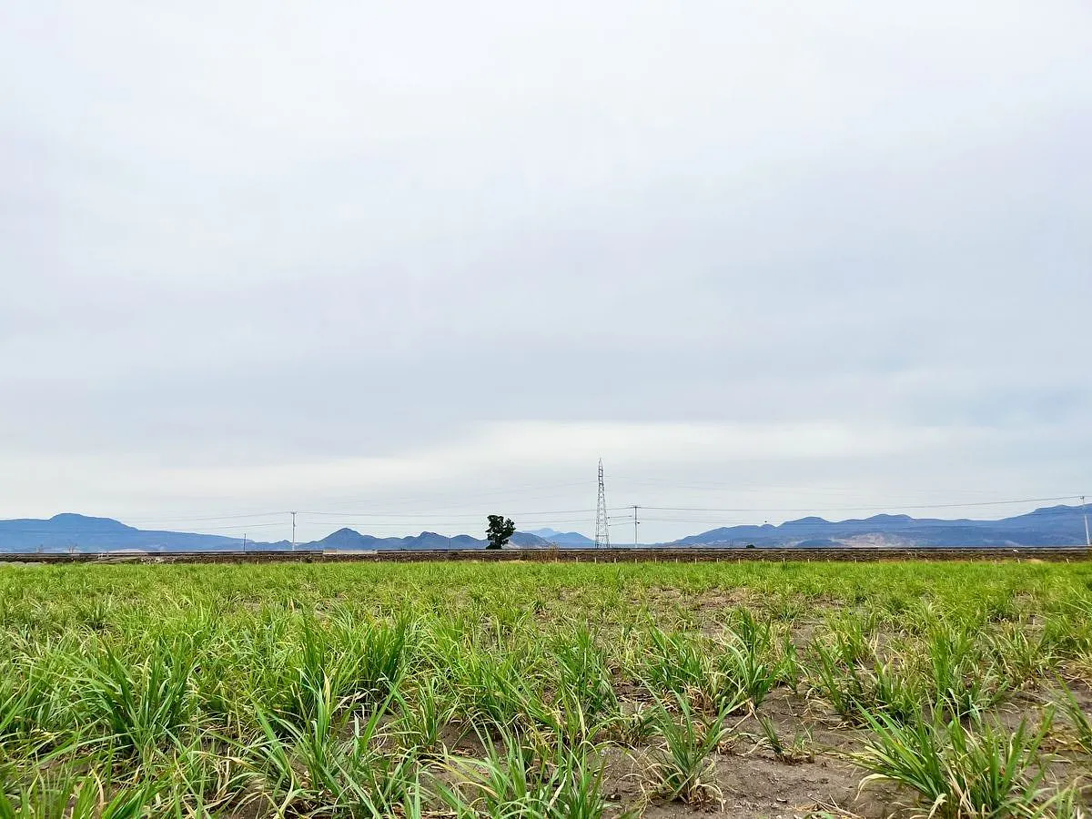 Terreno Spot2