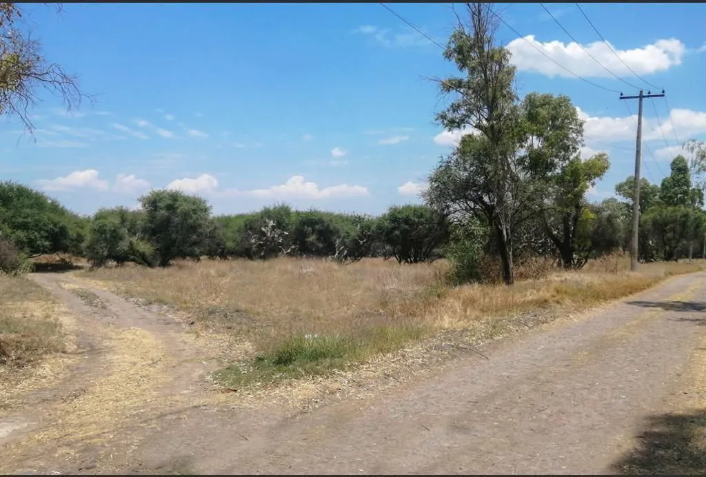 Terreno Spot2