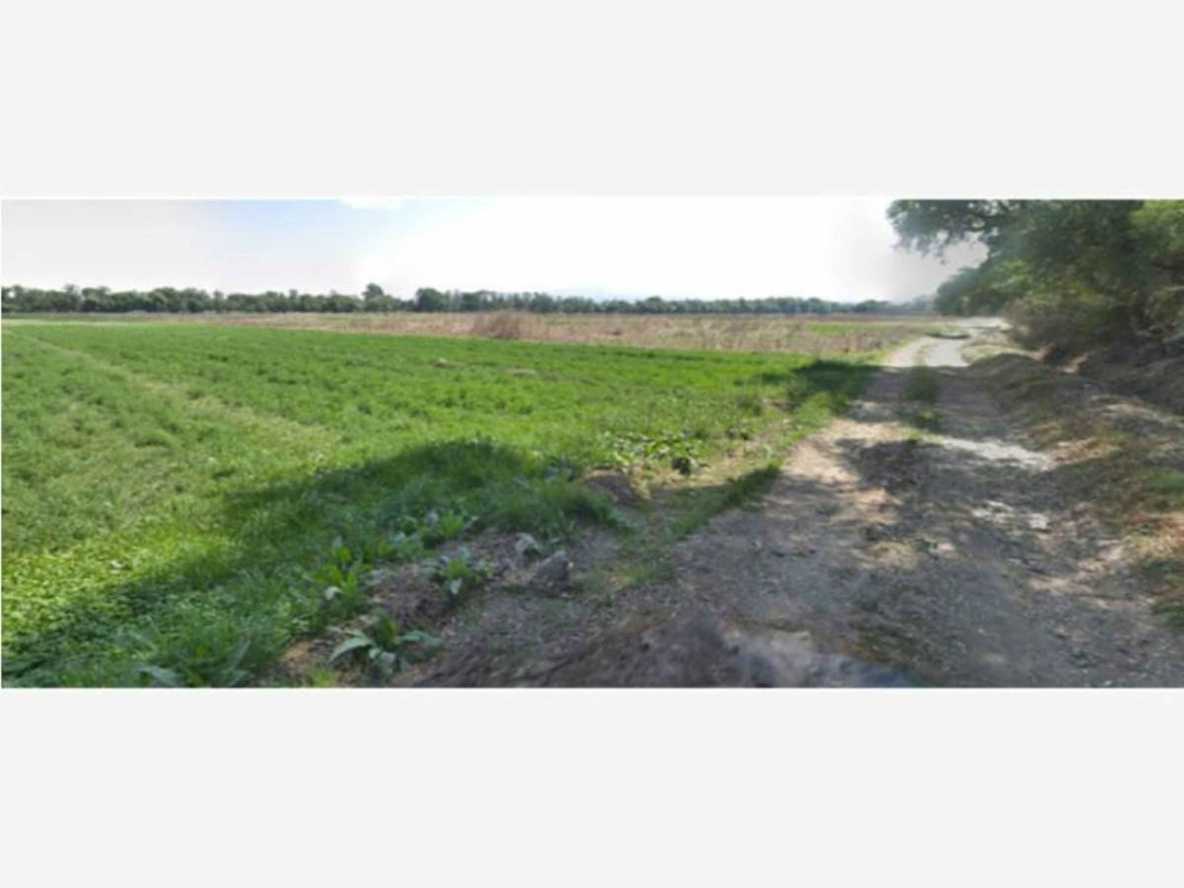 Terreno En Venta En Xicohtzingo, Xicohtzinco, Tlaxcala