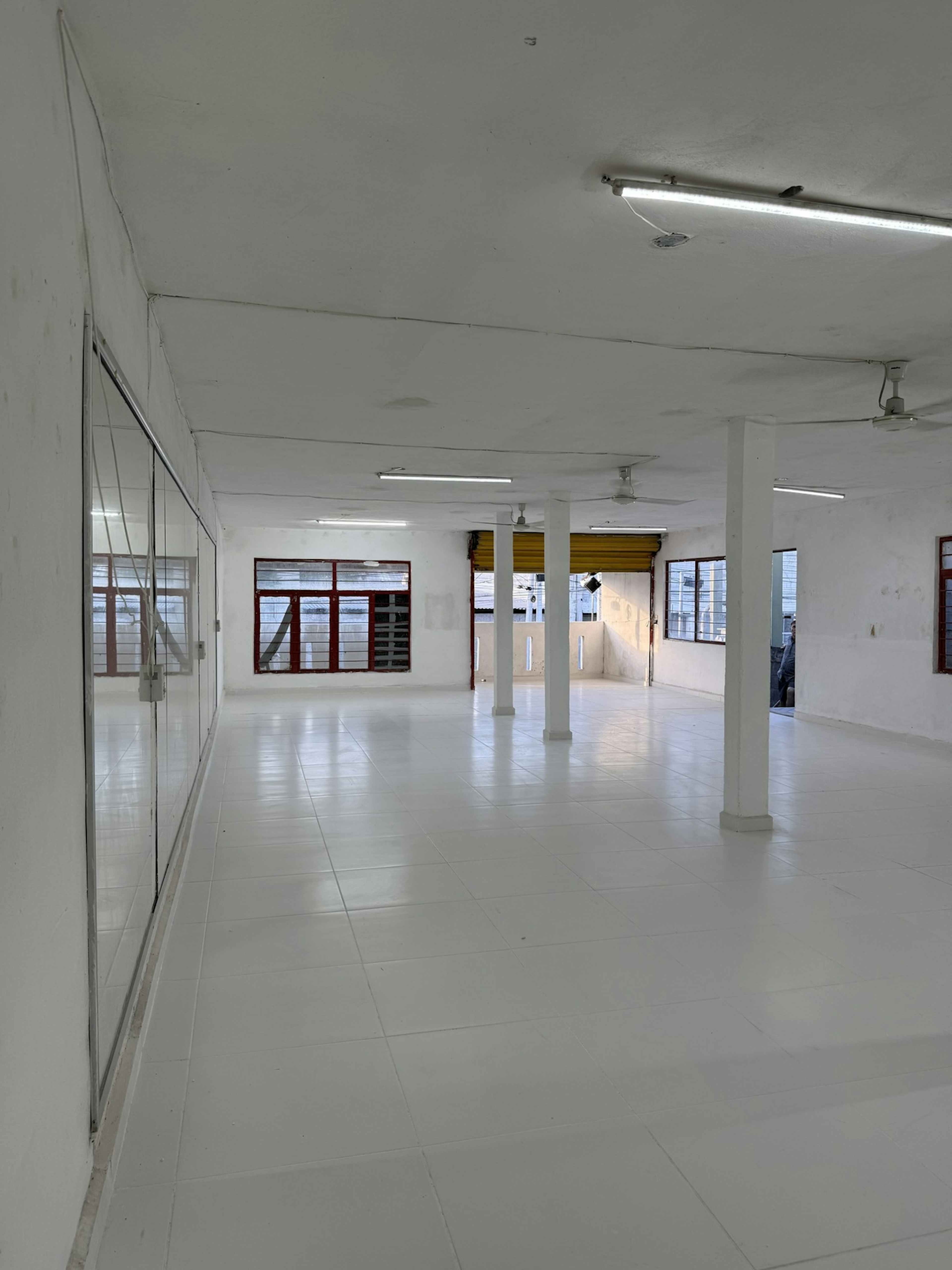 José Timoteo Rosales