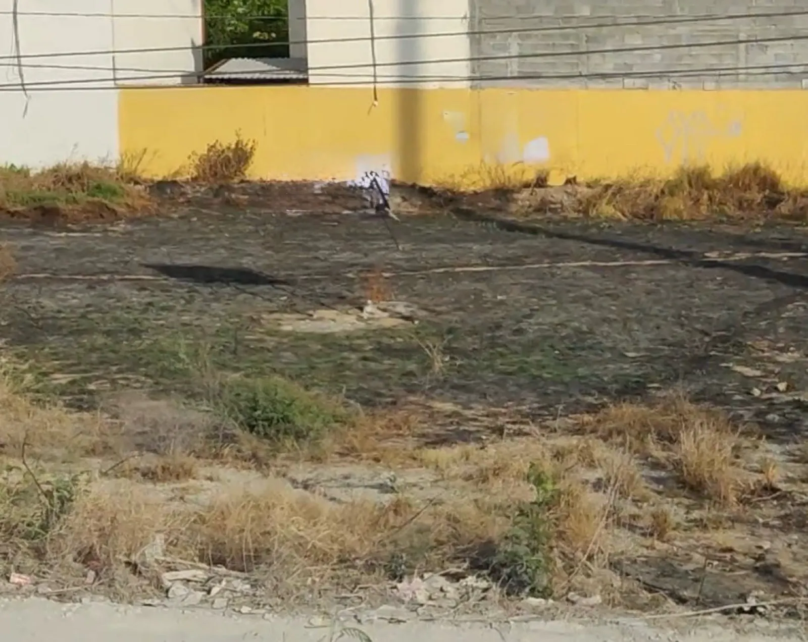 Terreno Spot2