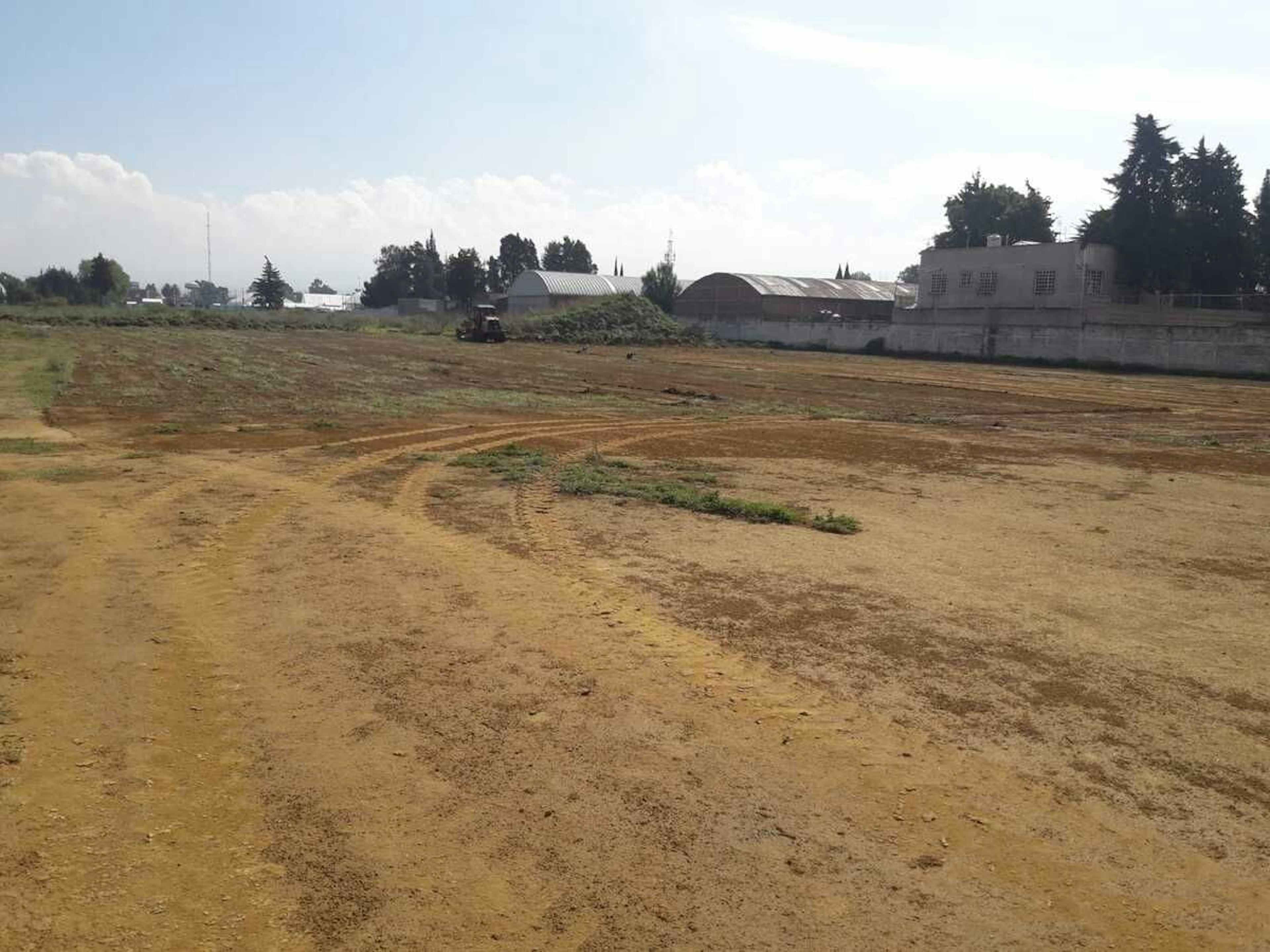 Calle Vicente Guerrero