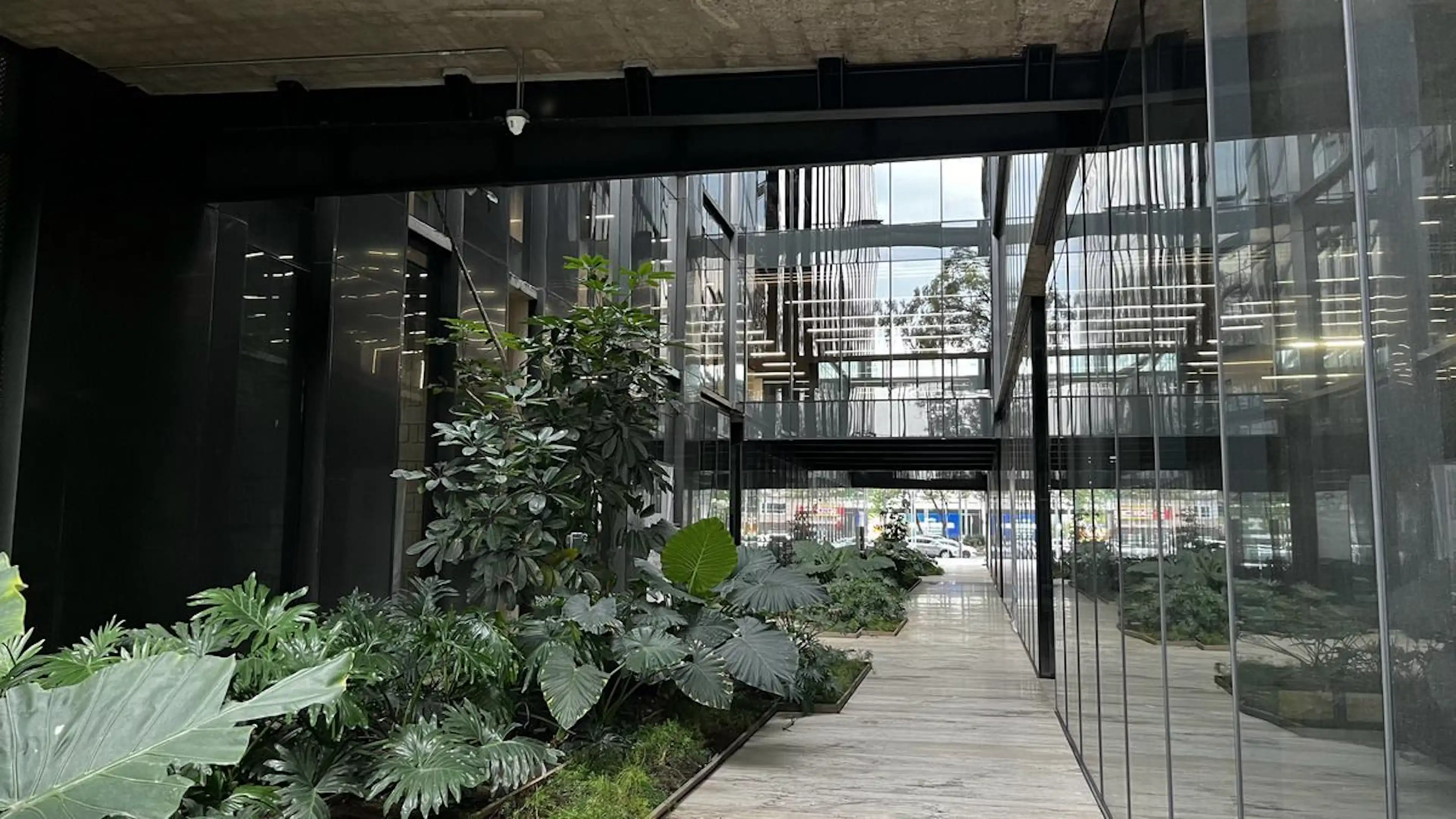 Calzada General Mariano Escobedo