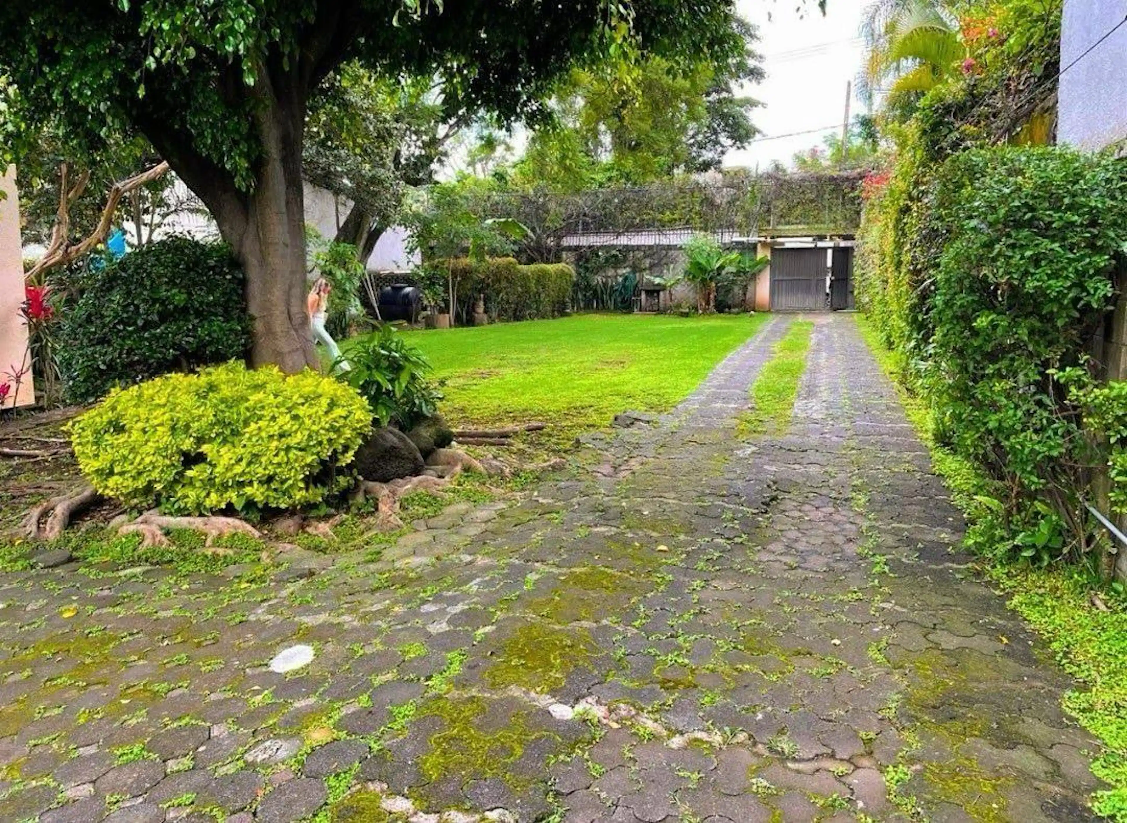 Terreno en Fraccionamiento Jardines de Delicias