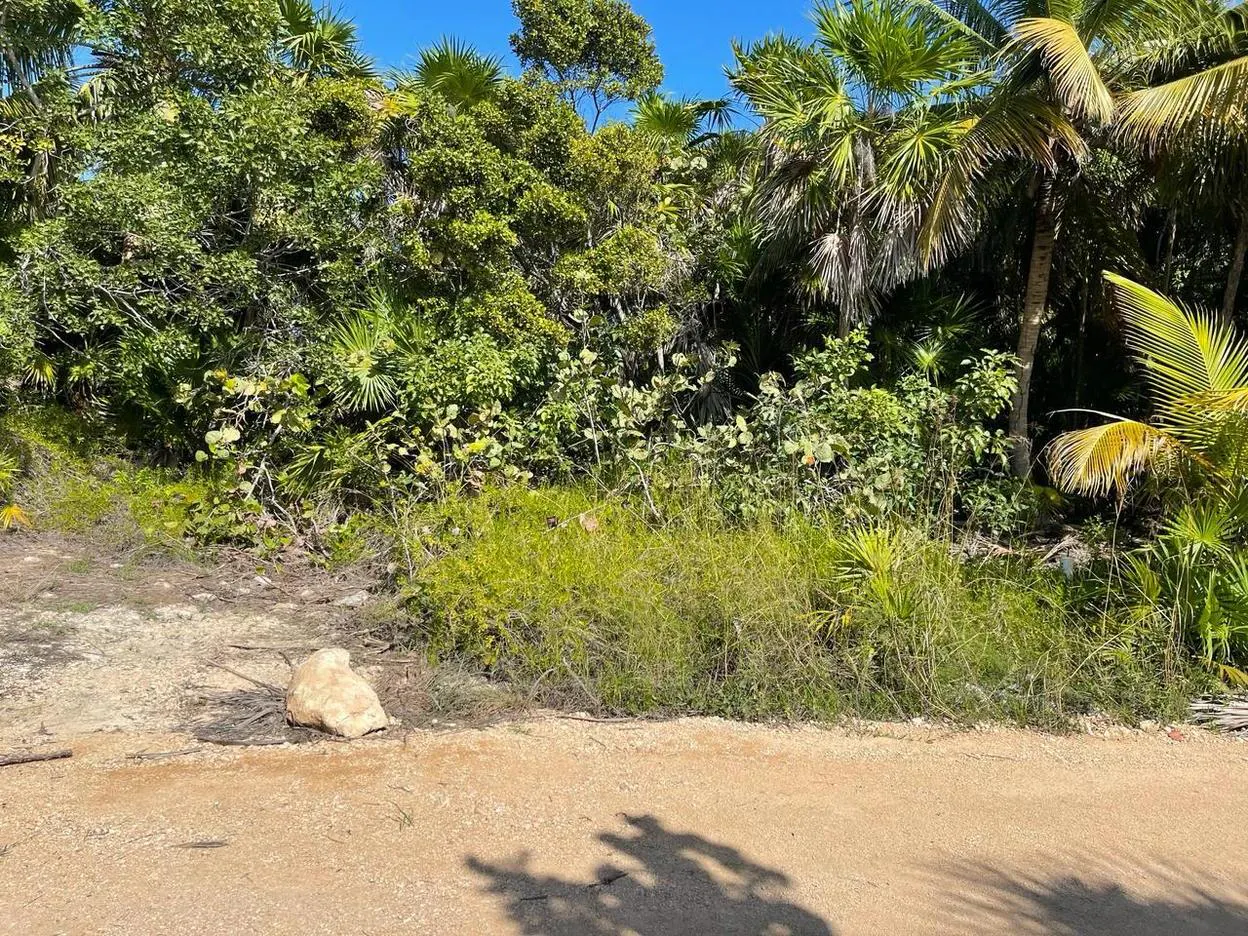 Terreno Spot2