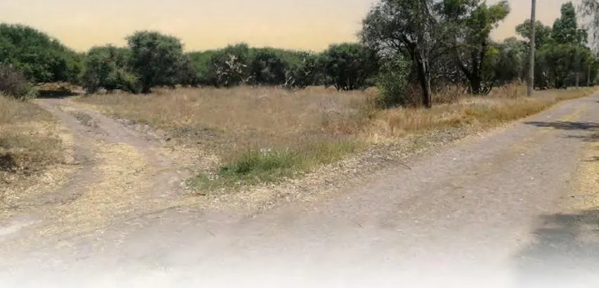Terreno Spot2