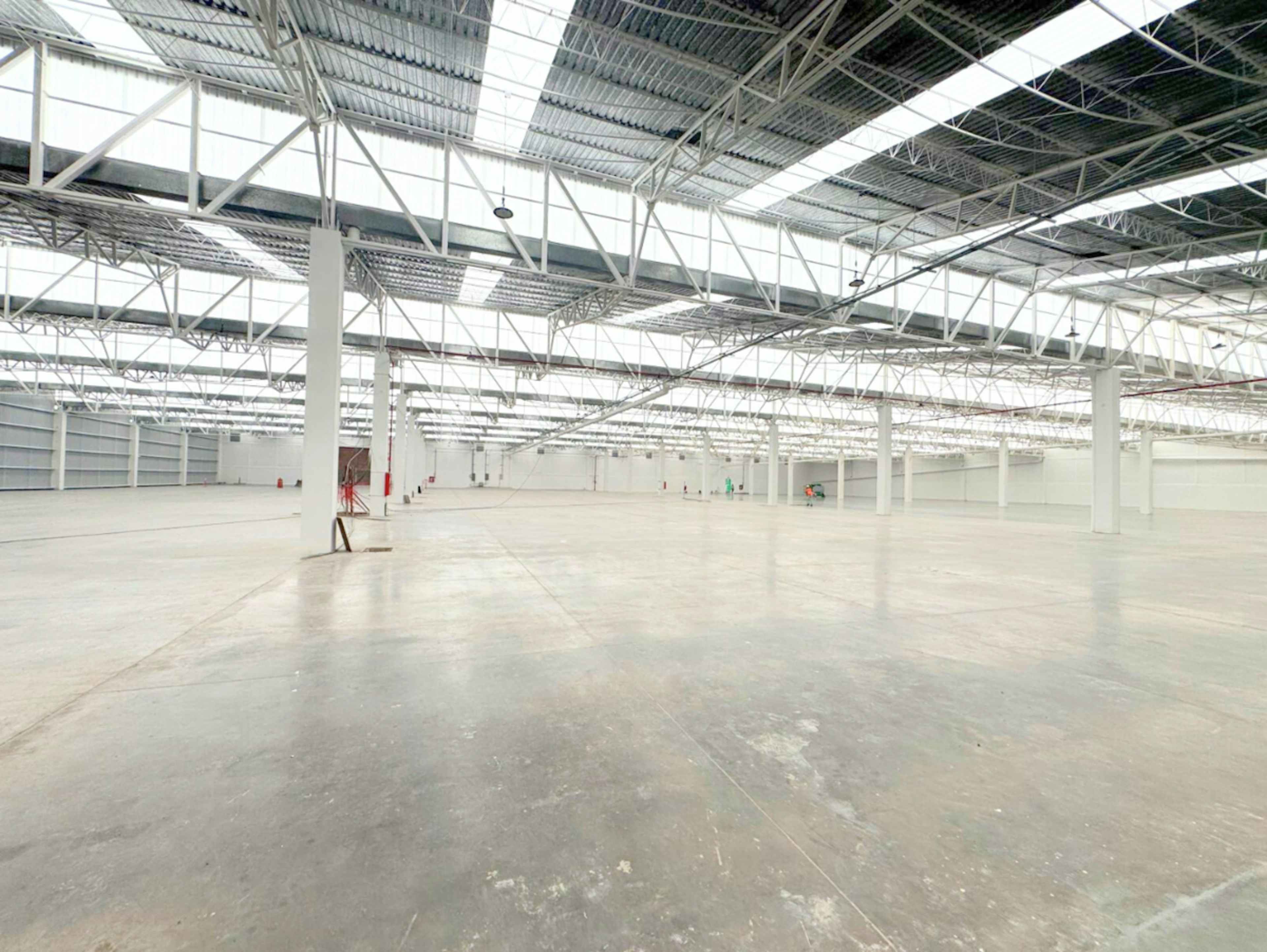 Jardines De Babilonia 21