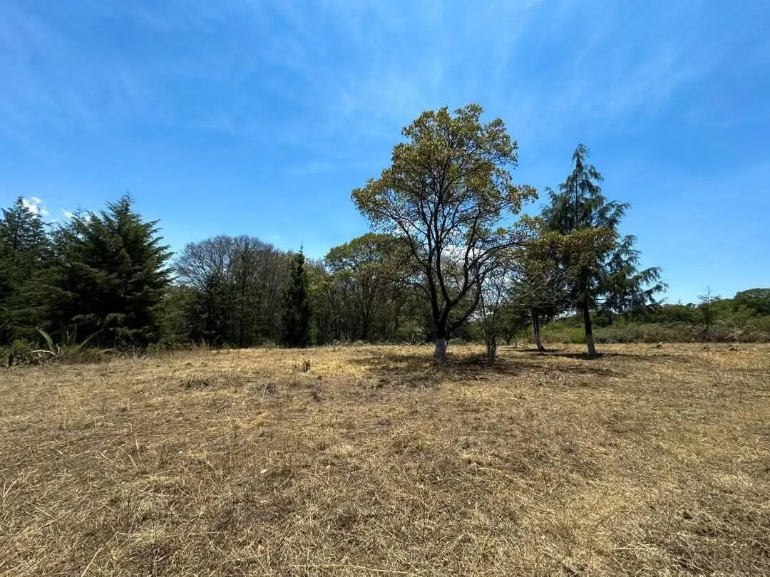 Terreno Spot2