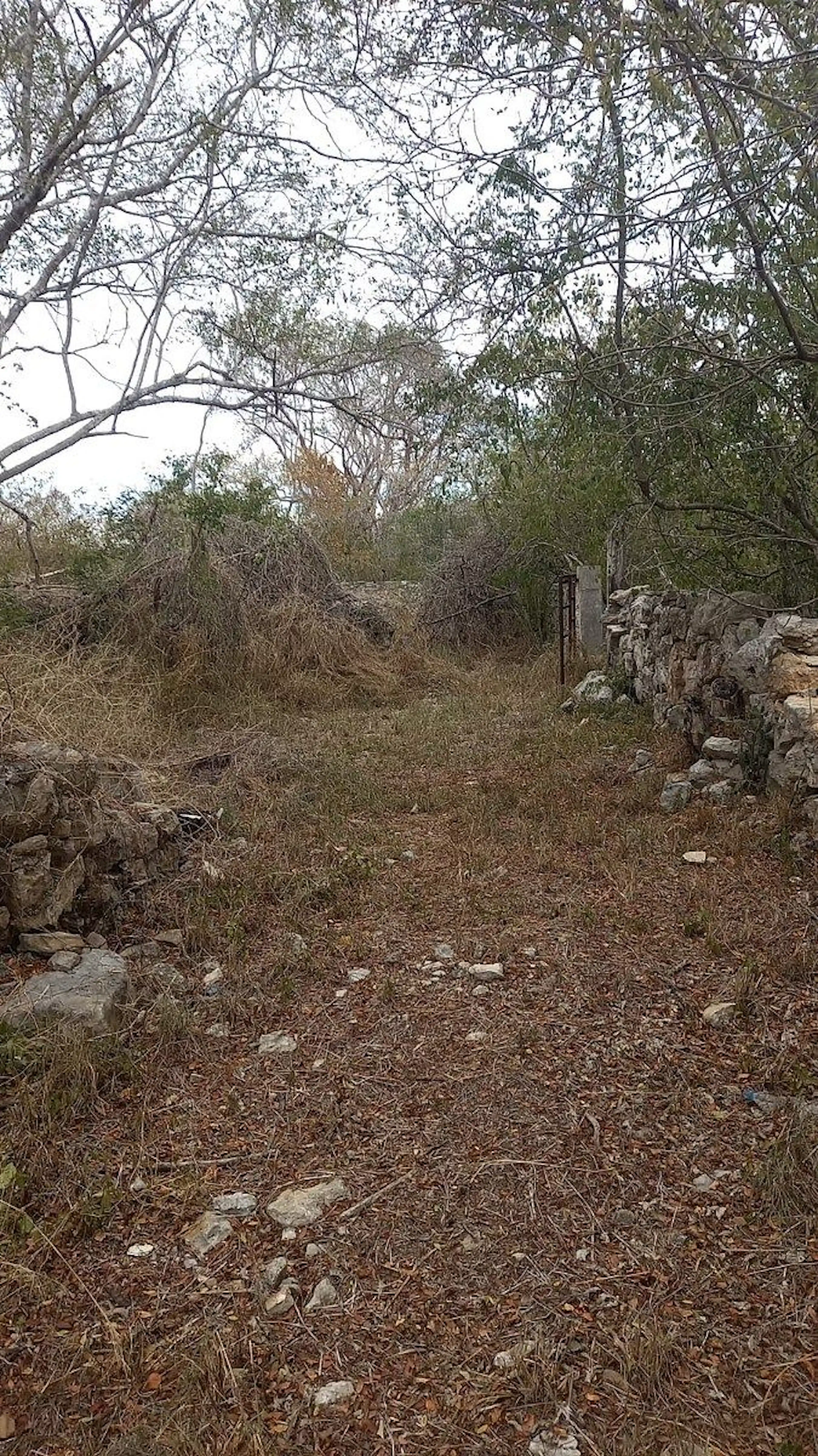 Ejidal Con Constancia En Chablekal, Por La Ceiba 2,304 M2, 62 M De Frente