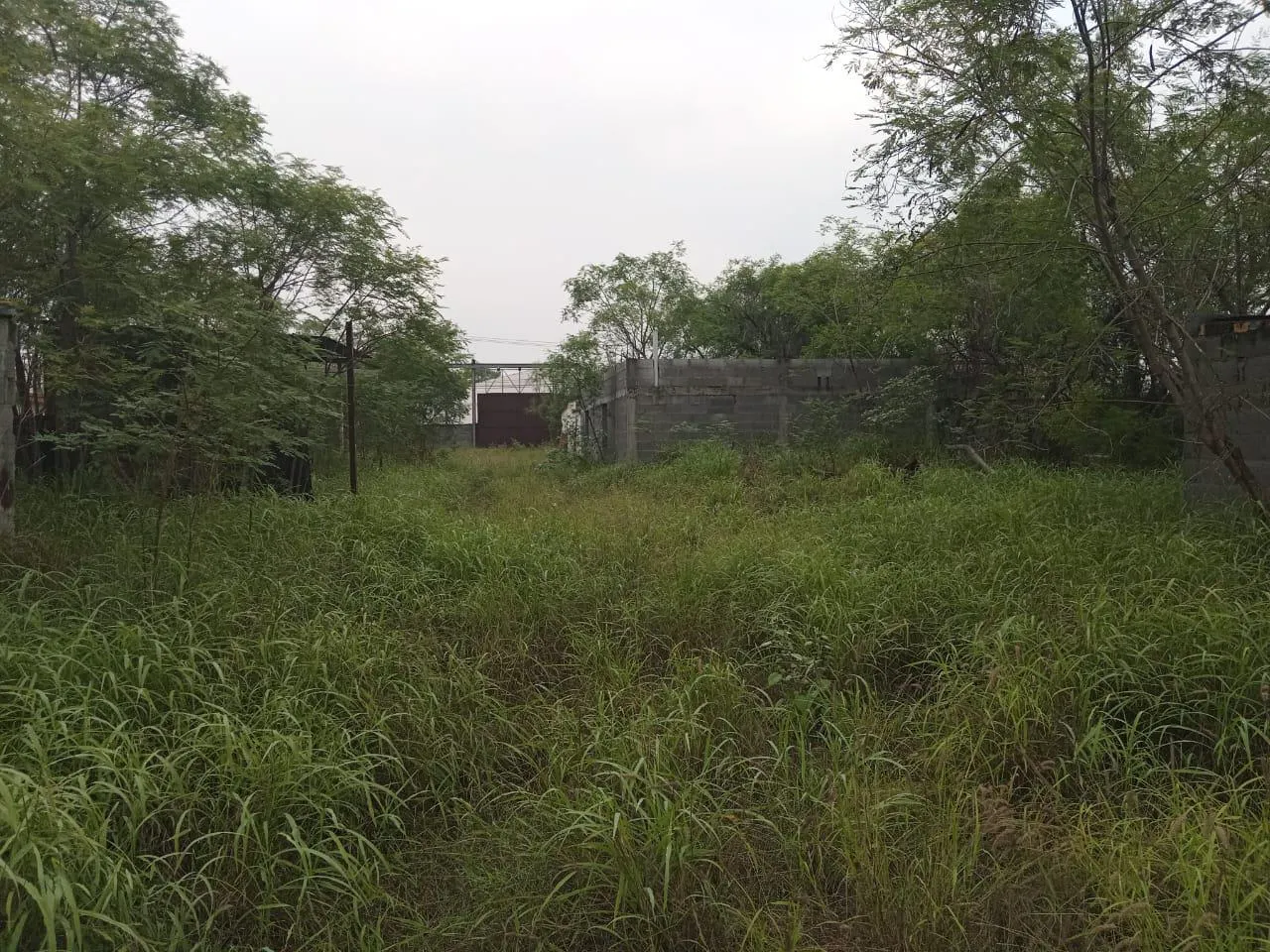 Terreno Spot2
