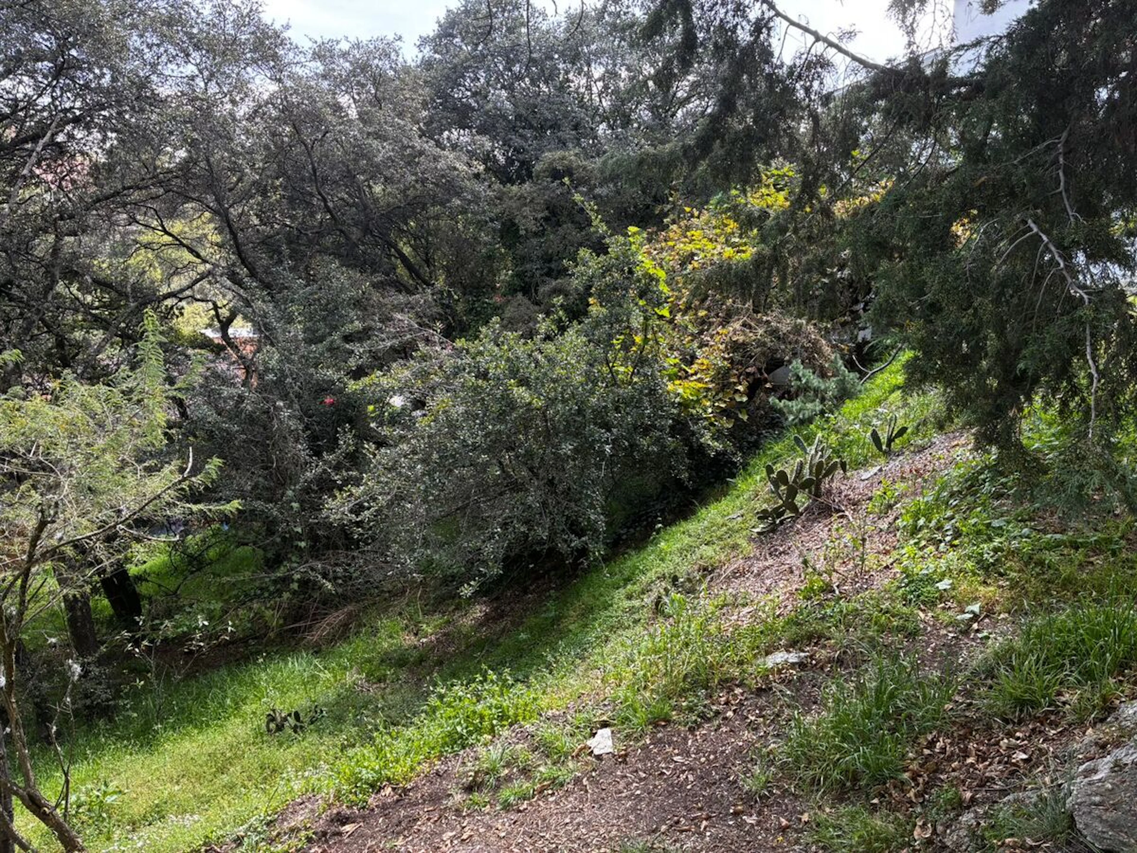 Terreno Spot2