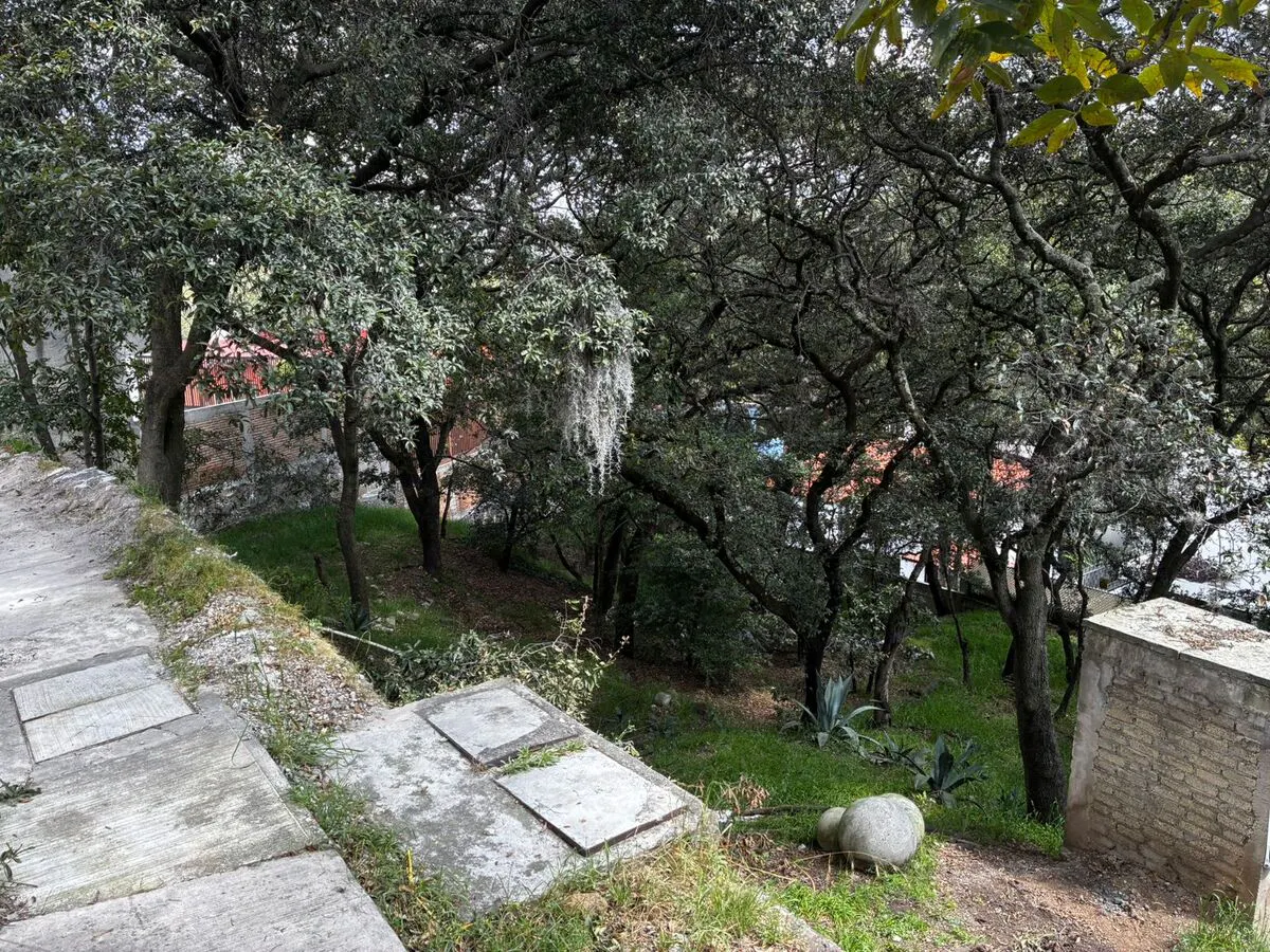 Terreno Spot2