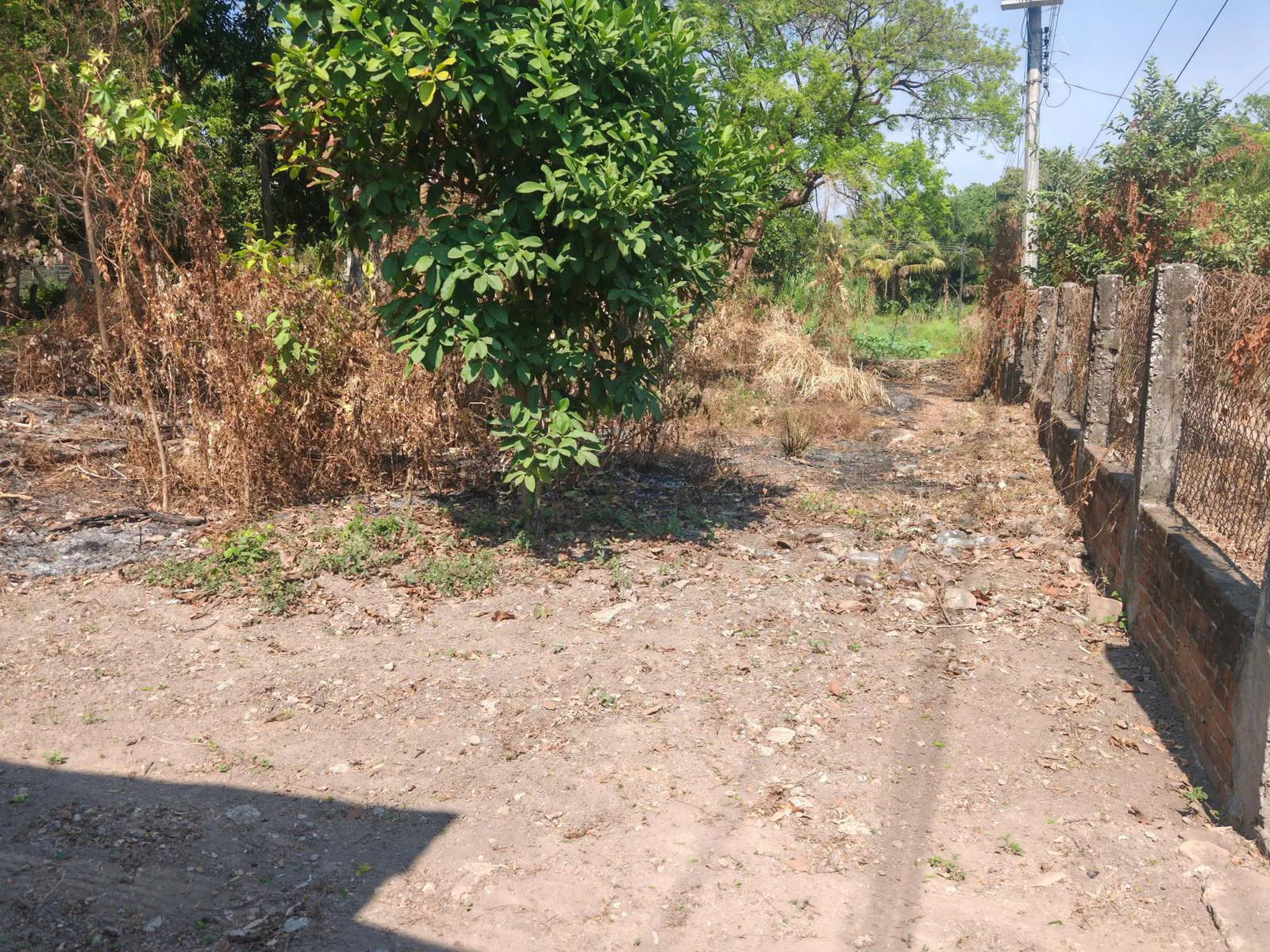 Terreno Spot2