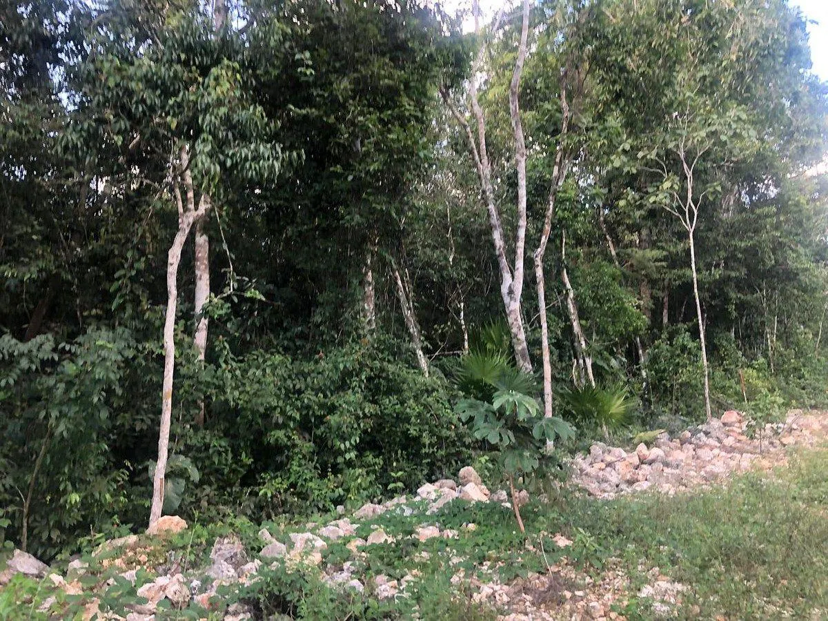 Terreno Spot2