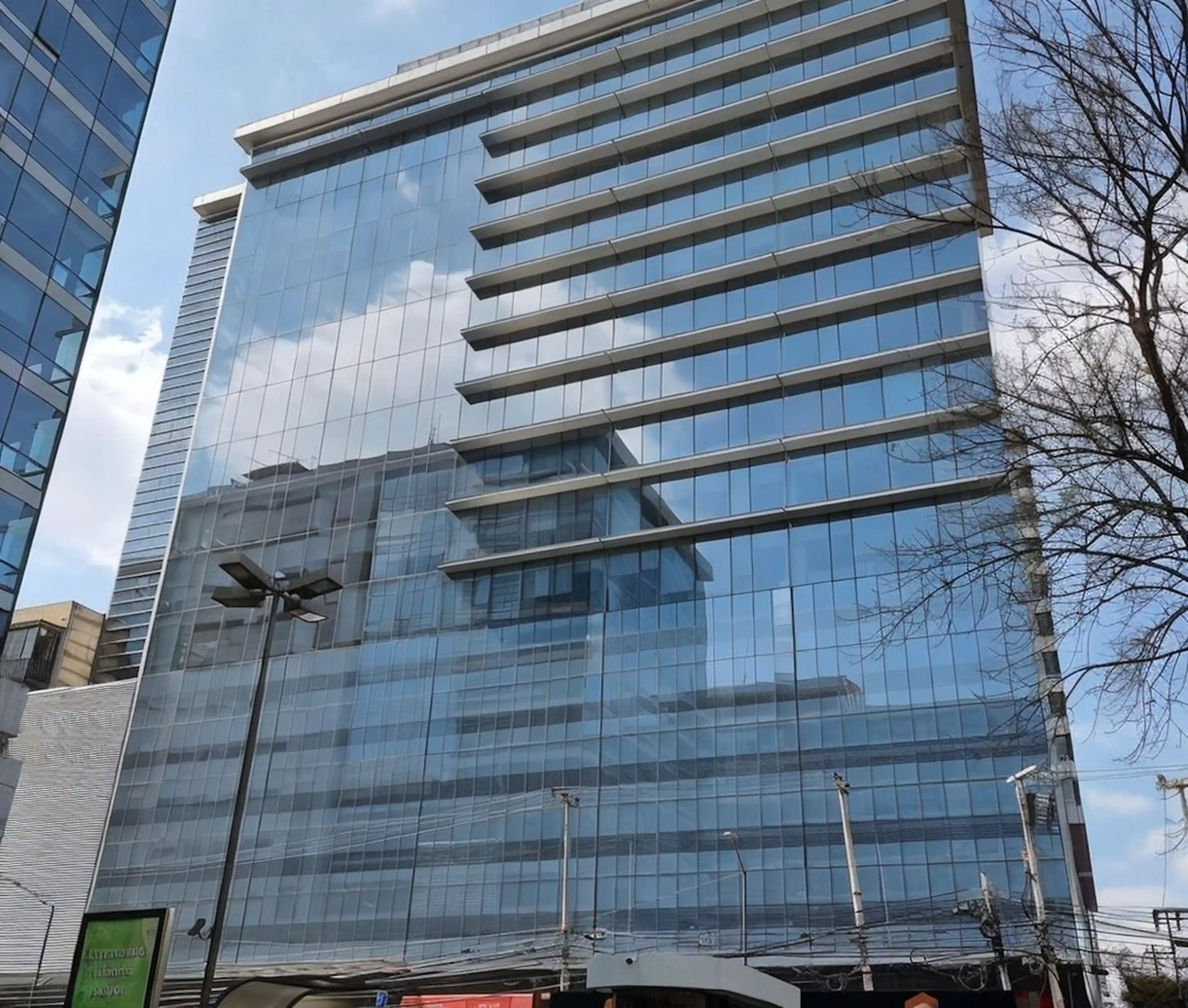 Polanco S/n