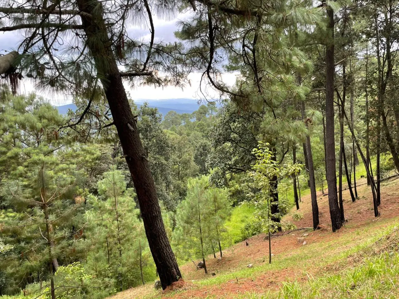 Terreno Spot2