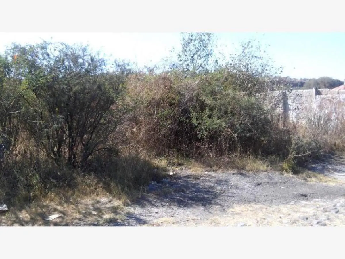 Terreno Spot2