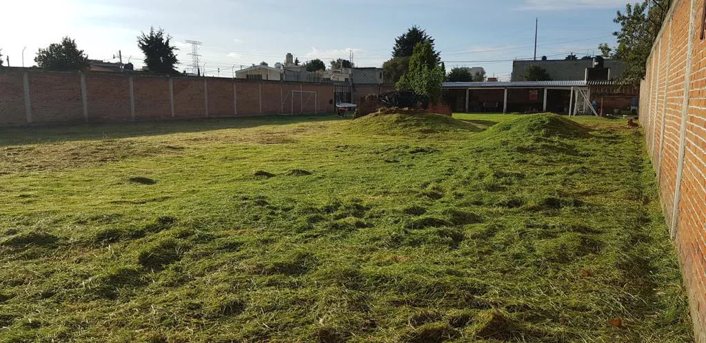 Terreno Spot2