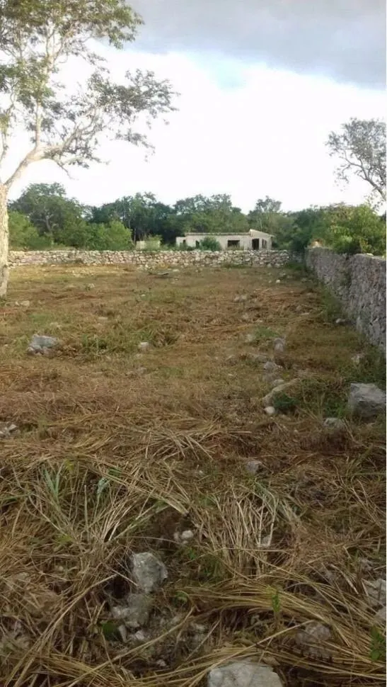 Terreno Spot2
