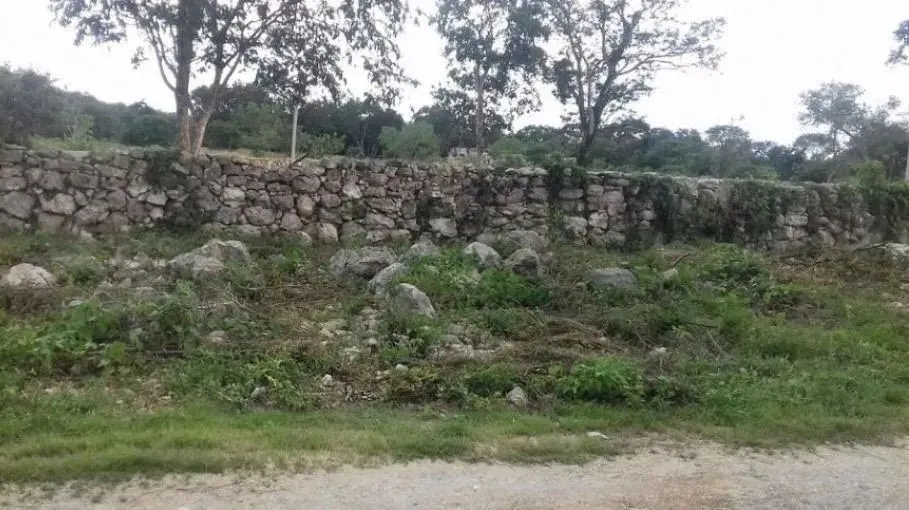 Terreno Spot2