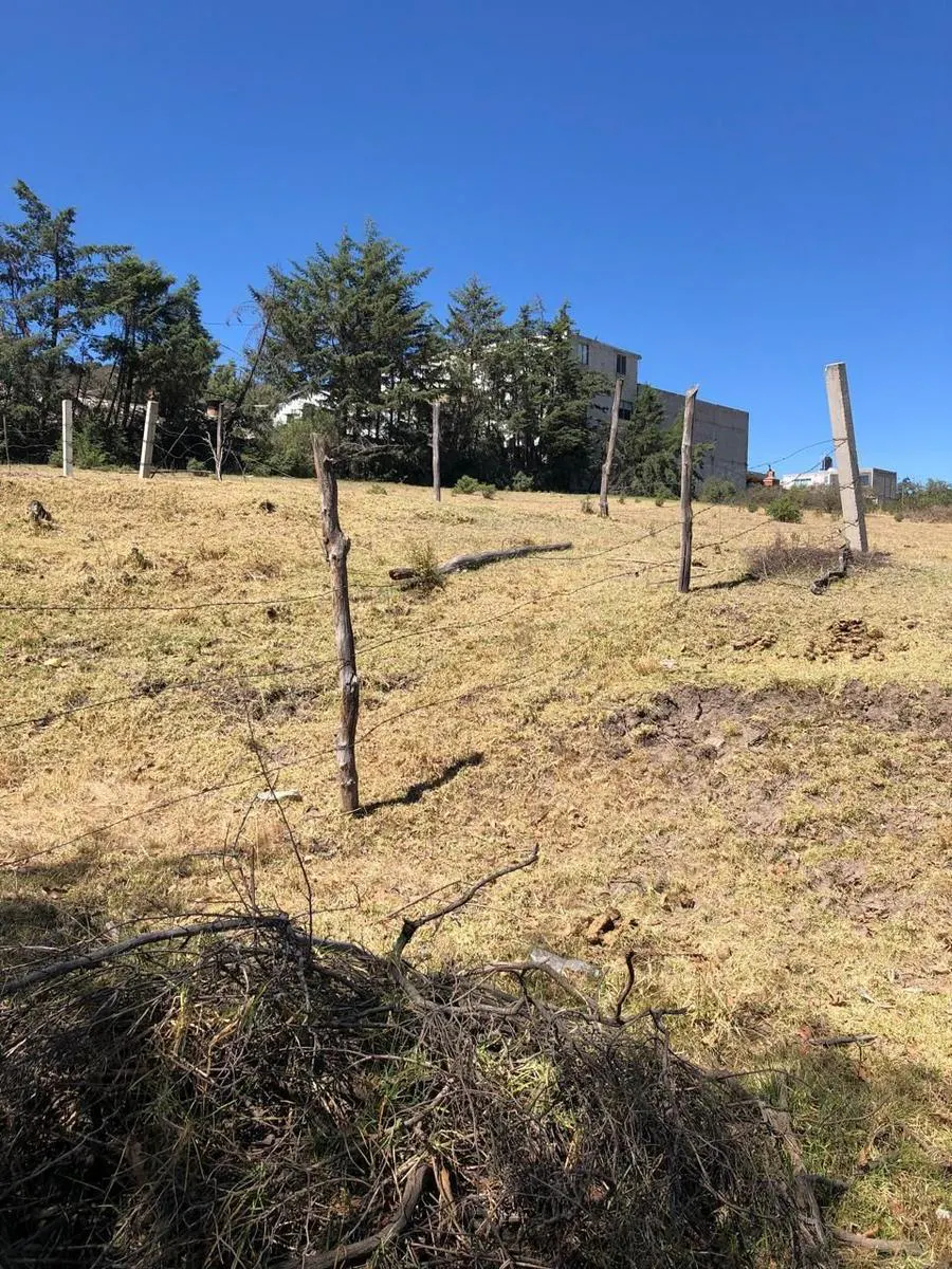 Terreno Spot2