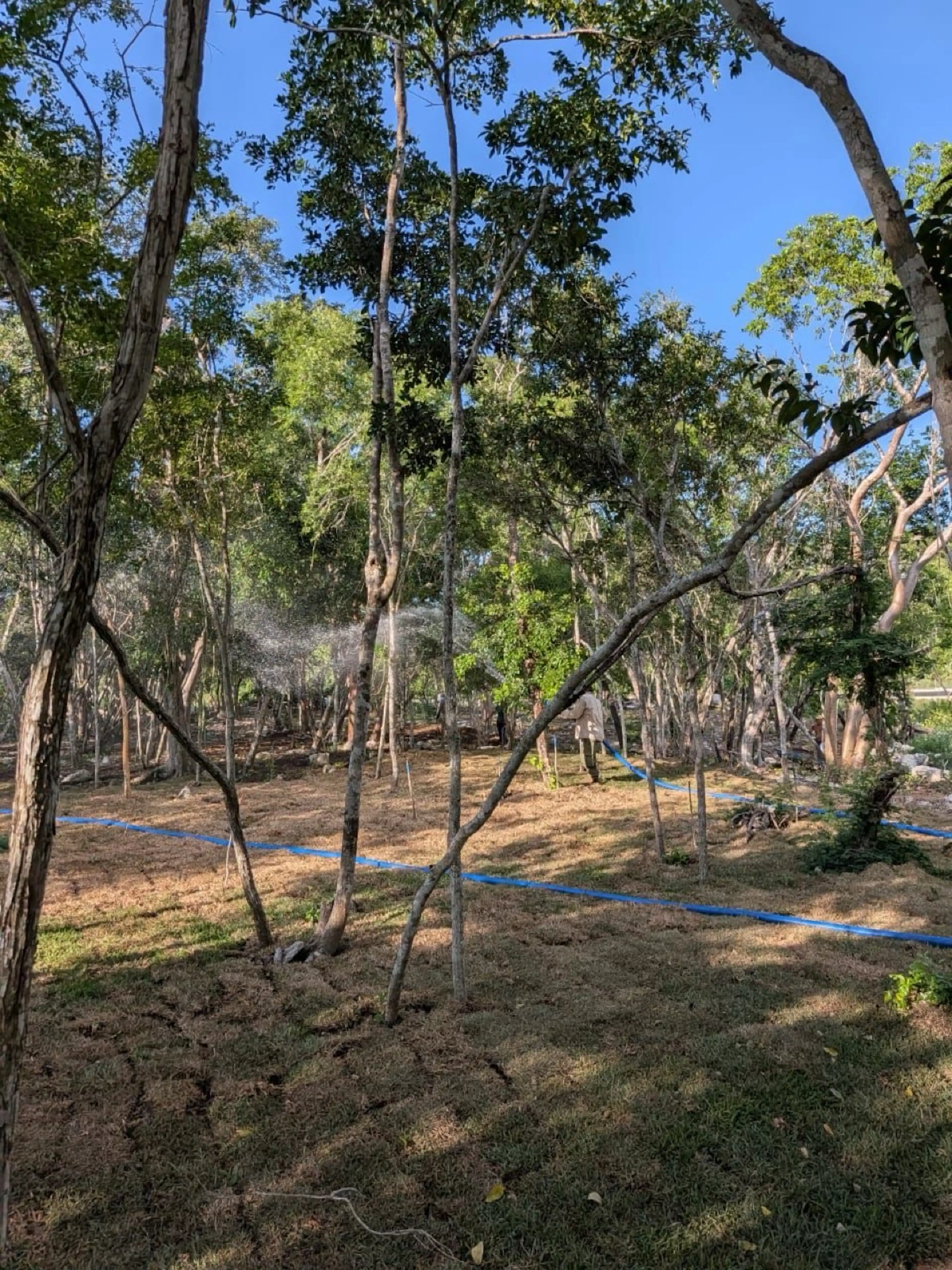 Terreno - Mérida