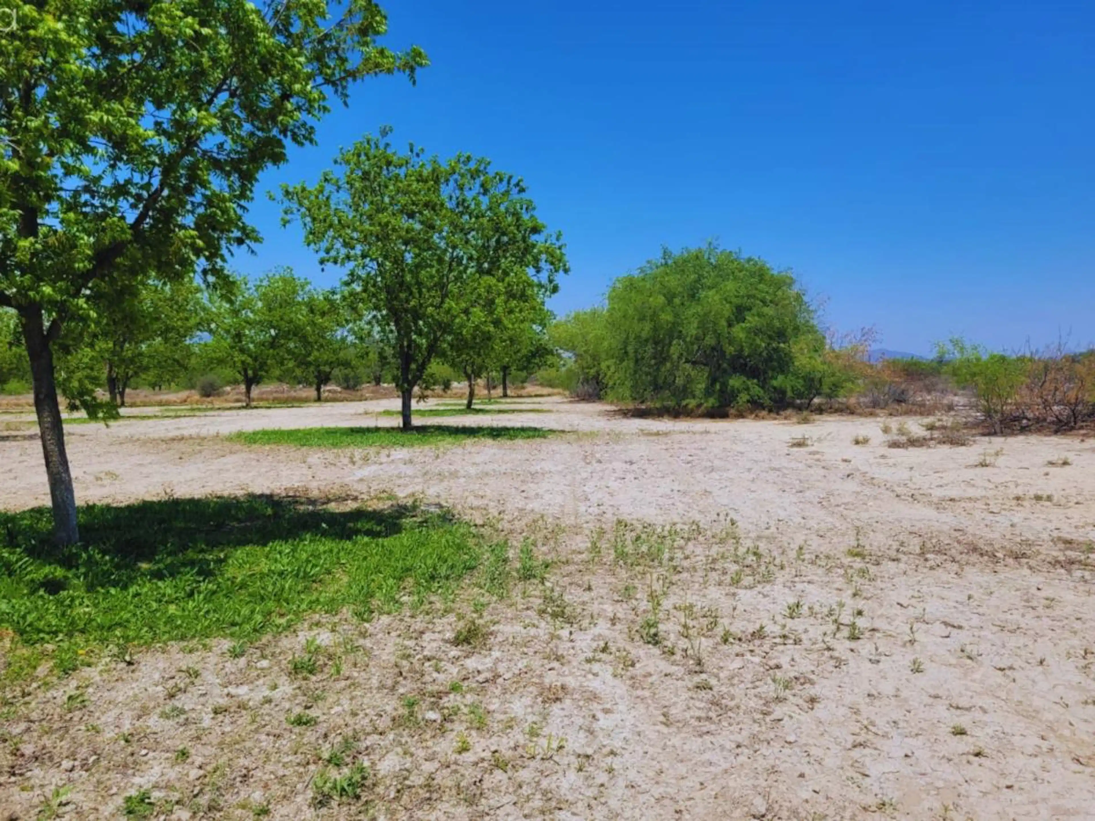 Terreno En Venta En El Toreo, Saltillo, Coahuila De Zaragoza