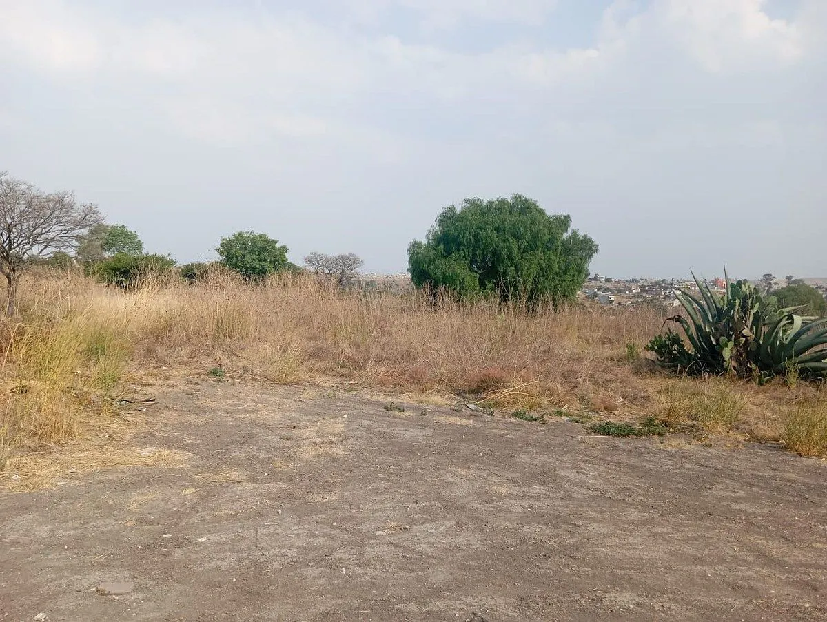 Terreno Spot2