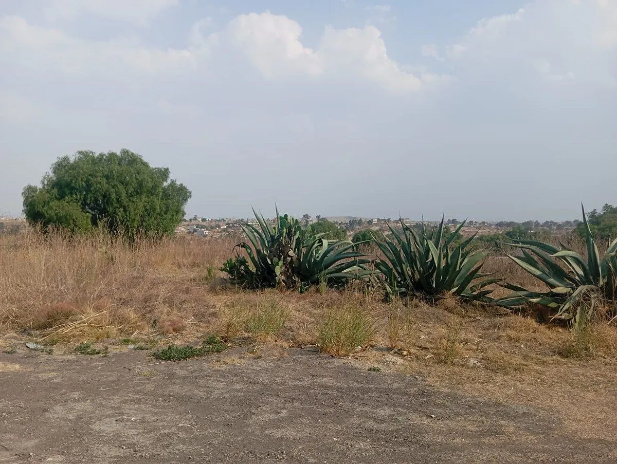 Terreno Spot2