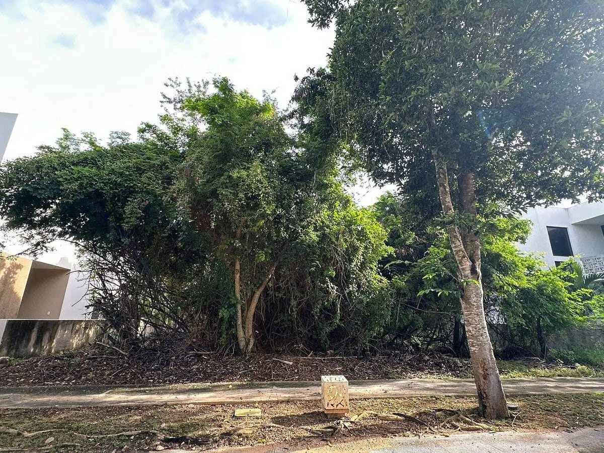 Terreno Spot2